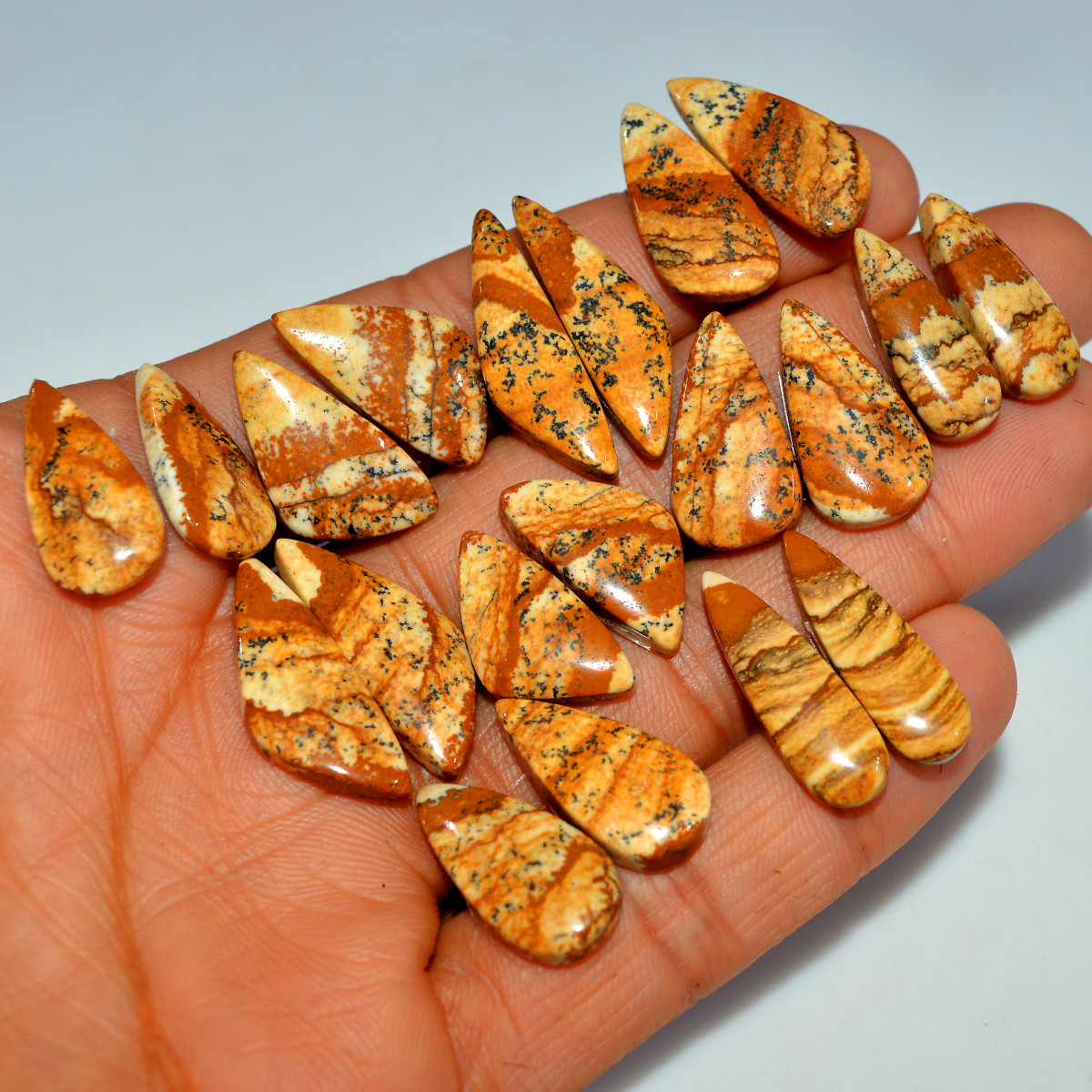 Picture Jasper Pairs