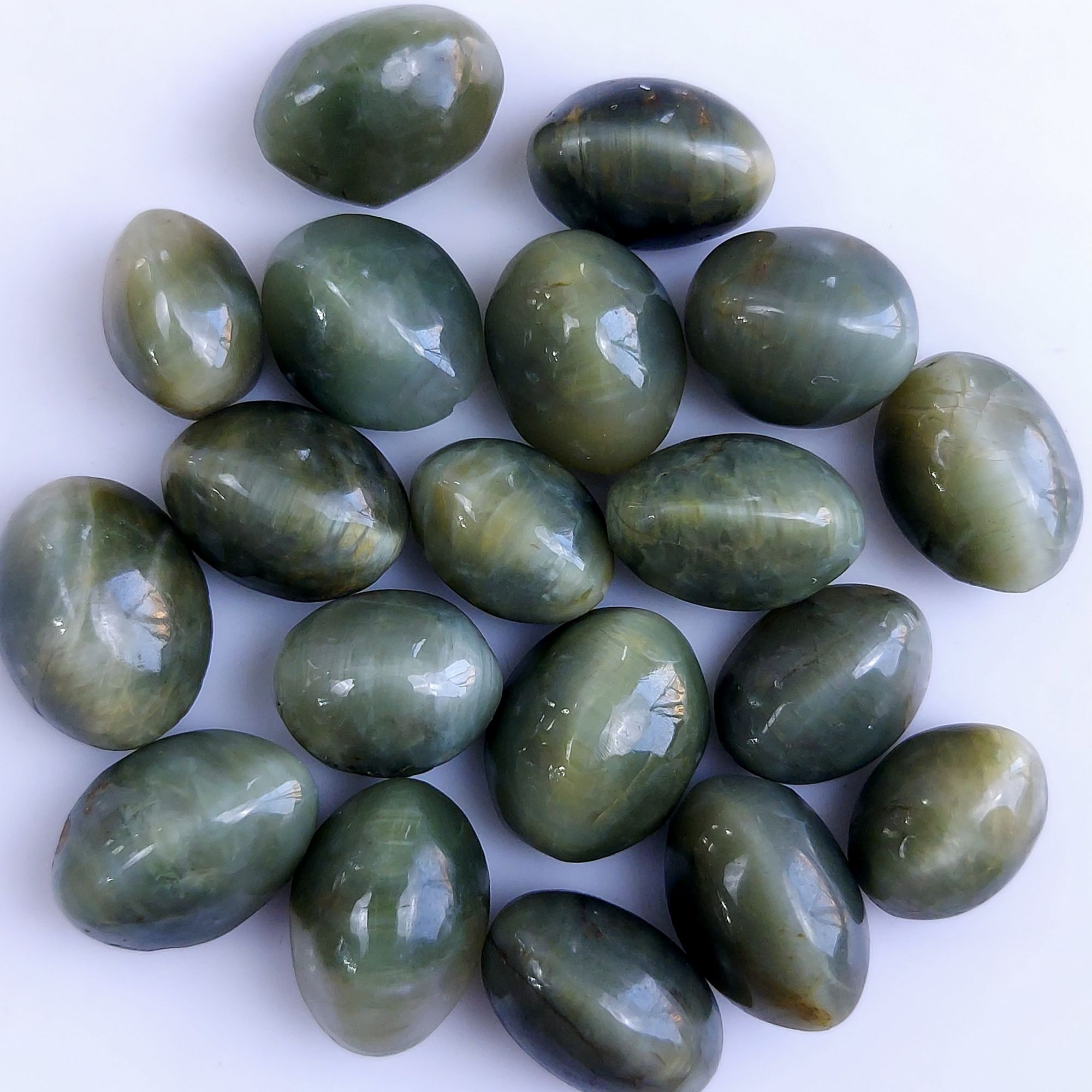 19Pcs 176Cts Natural Green Cats Eye Cabochon Loose Gemstone Semi Precious Jewelry Making Crystal Lot 16x12 13x10mm R-10595