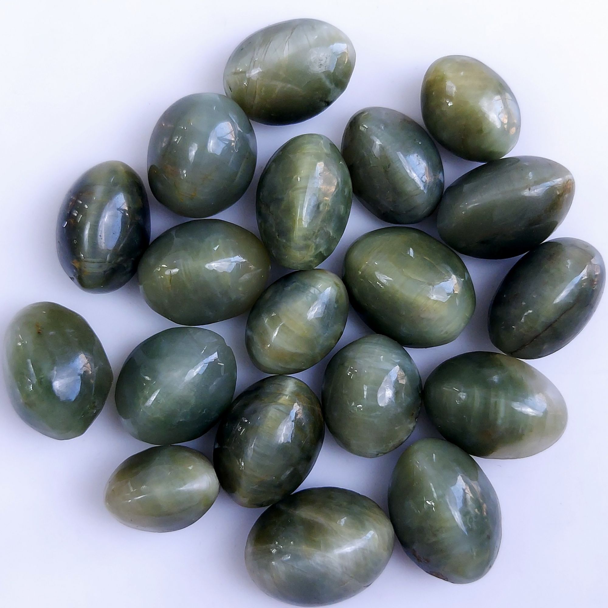 19Pcs 176Cts Natural Green Cats Eye Cabochon Loose Gemstone Semi Precious Jewelry Making Crystal Lot 16x12 13x10mm R-10595