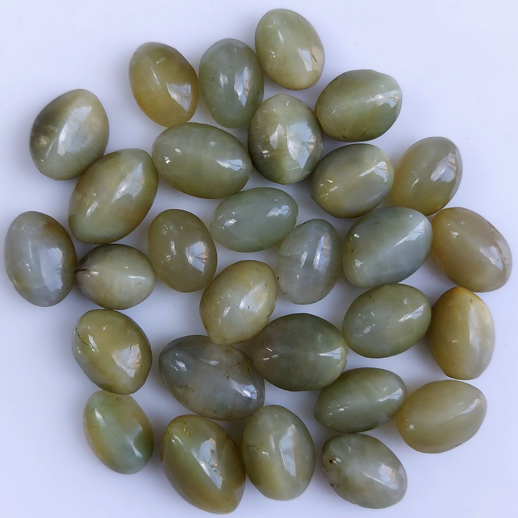 29Pcs 152Cts Natural Green Cats Eye Cabochon Loose Gemstone Semi Precious Jewelry Making Crystal Lot 14x9 11x8mm 10605
