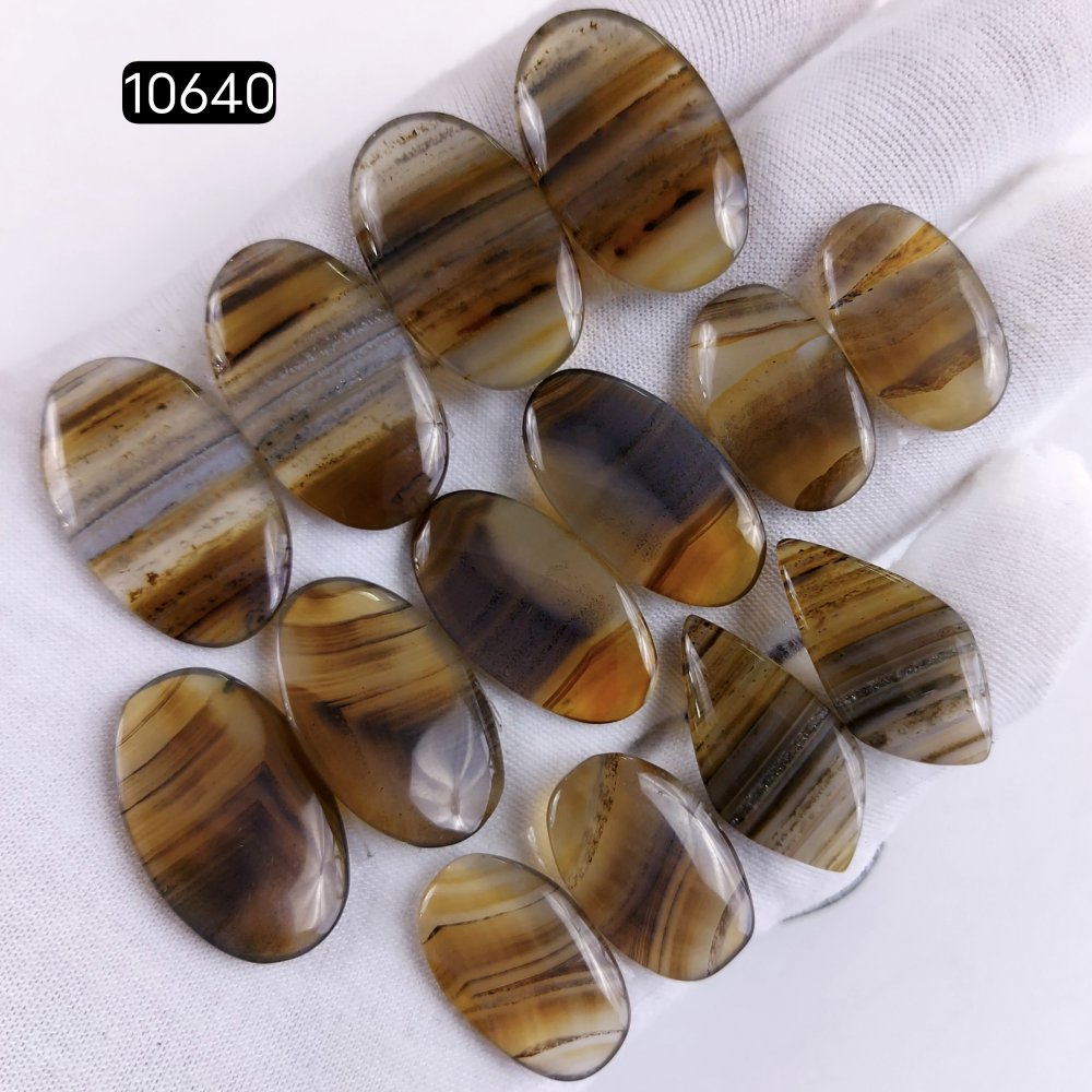 7Pair 175Cts Natural Brown Montana Agate Cabochon Loose Gemstone Crystal Pair Lot for Earrings 28x18 22x13mm #10640
