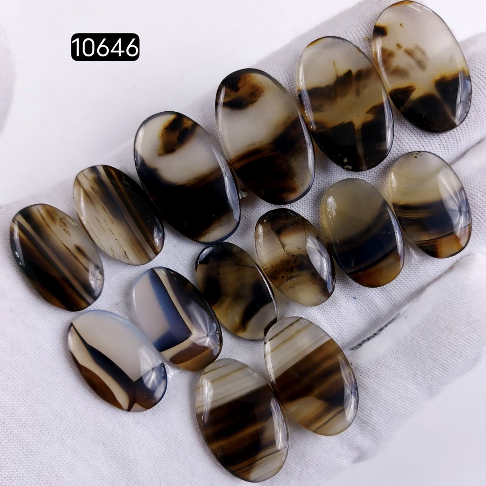 7Pair 169Cts Natural Brown Montana Agate Cabochon Loose Gemstone Crystal Pair Lot for Earrings 28x18 22x14mm #10646