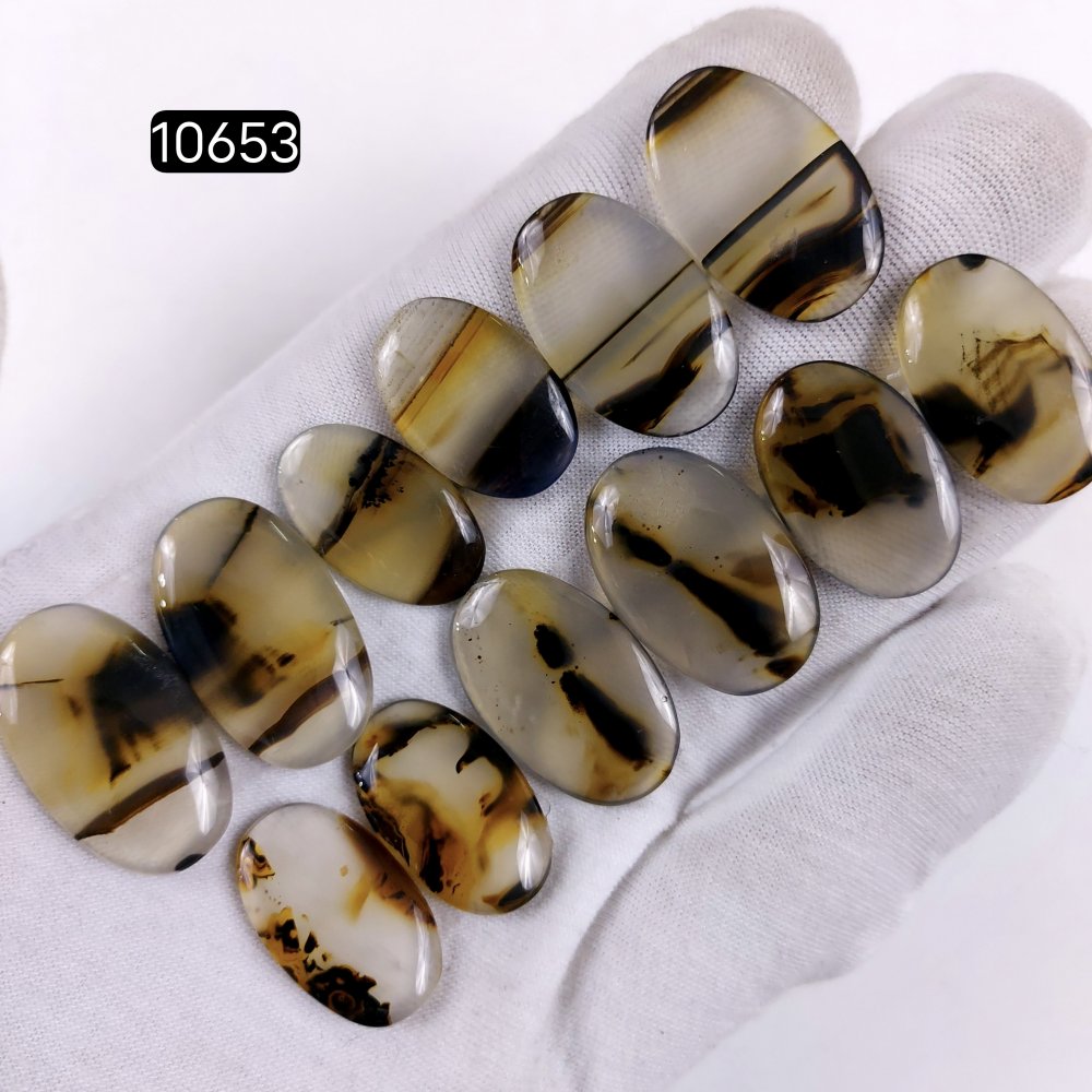 6Pair 153Cts Natural Brown Montana Agate Cabochon Loose Gemstone Crystal Pair Lot for Earrings 27x18 22x15mm #10653