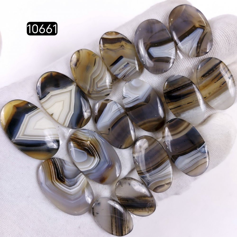 8Pair 171Cts Natural Brown Montana Agate Cabochon Loose Gemstone Crystal Pair Lot for Earrings 28x16 20x12mm #10661