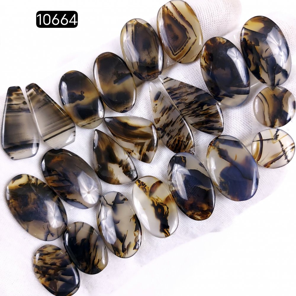 11Pair 222Cts Natural Brown Montana Agate Cabochon Loose Gemstone Crystal Pair Lot for Earrings 30x12 14x14mm #10664