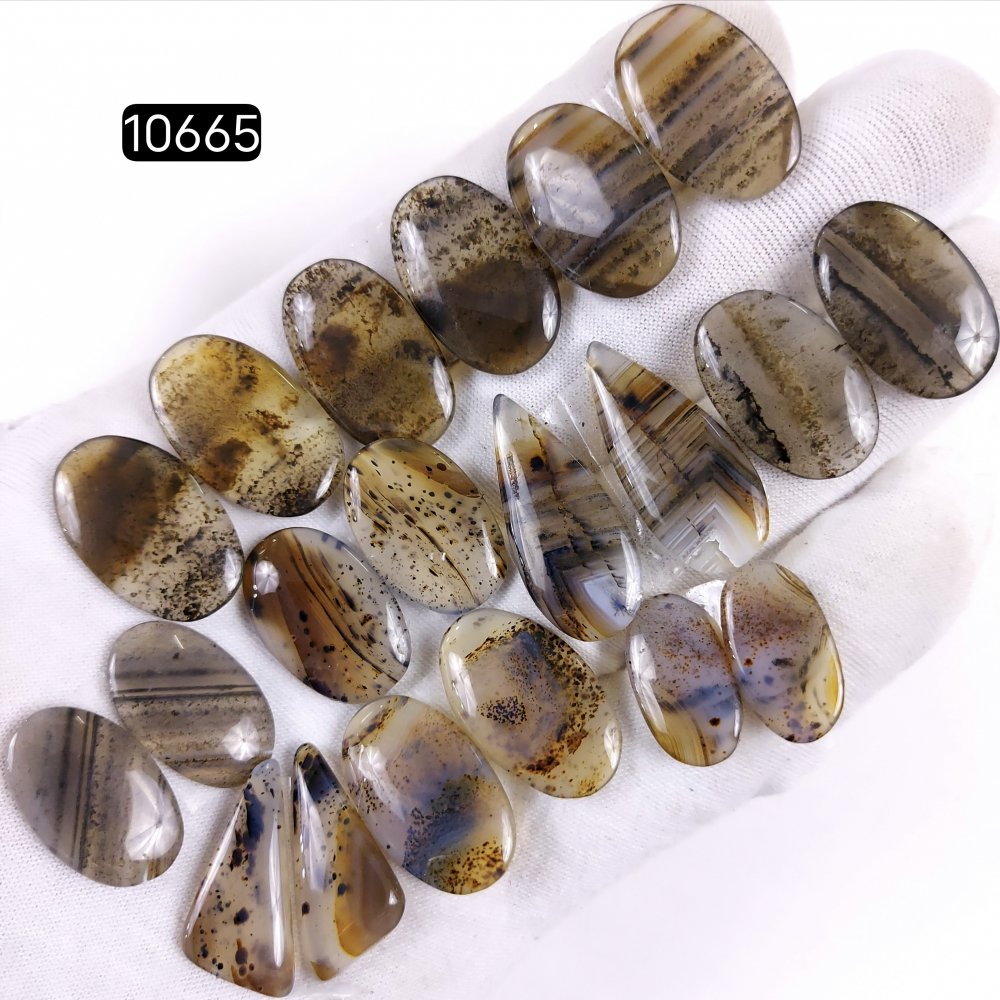 10Pair 197Cts Natural Brown Montana Agate Cabochon Loose Gemstone Crystal Pair Lot for Earrings 30x12 20x14mm #10665