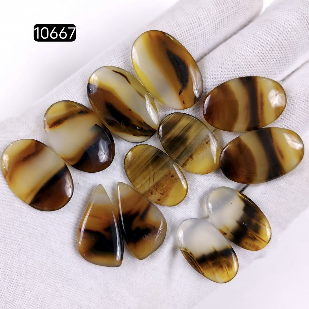 6Pair 145Cts Natural Brown Montana Agate Cabochon Loose Gemstone Crystal Pair Lot for Earrings 28x17 22x12mm #10667