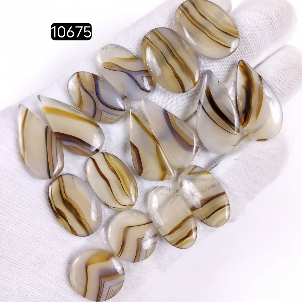 8Pair 186Cts Natural Brown Montana Agate Cabochon Loose Gemstone Crystal Pair Lot for Earrings 30x12 24x14mm #10675