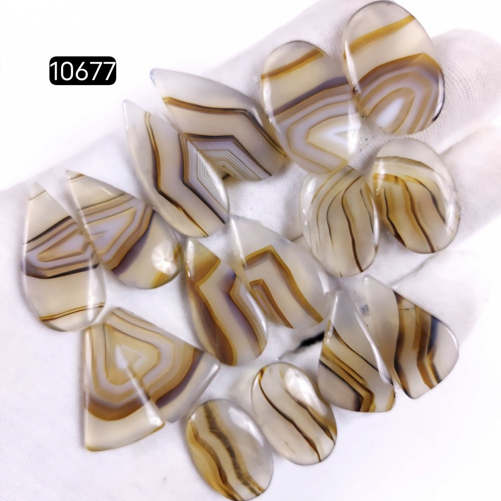 8Pair 228Cts Natural Brown Montana Agate Cabochon Loose Gemstone Crystal Pair Lot for Earrings 32x15 24x14mm #10677