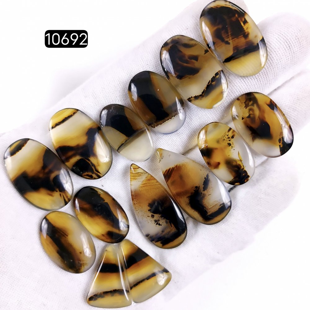 7Pair 188Cts Natural Brown Montana Agate Cabochon Loose Gemstone Crystal Pair Lot for Earrings 32x17 22x15mm #10692
