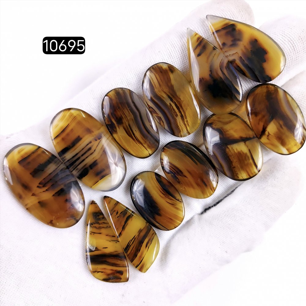 6Pair 199Cts Natural Brown Montana Agate Cabochon Loose Gemstone Crystal Pair Lot for Earrings 34x20 24x14mm #10695
