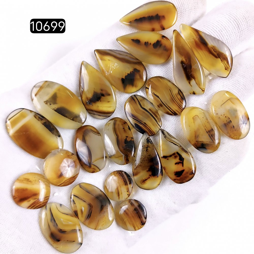 11Pair 165Cts Natural Brown Montana Agate Cabochon Loose Gemstone Crystal Pair Lot for Earrings 25x15 13x13mm #10699
