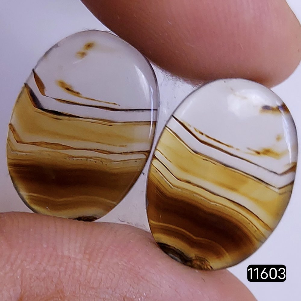 1 Pairs 18Cts Natural Montana Loose Cabochon Flat Back Gemstone Pair Lot Earrings Crystal Lot for Jewelry Making Gift For Her 20x14mm #11603
