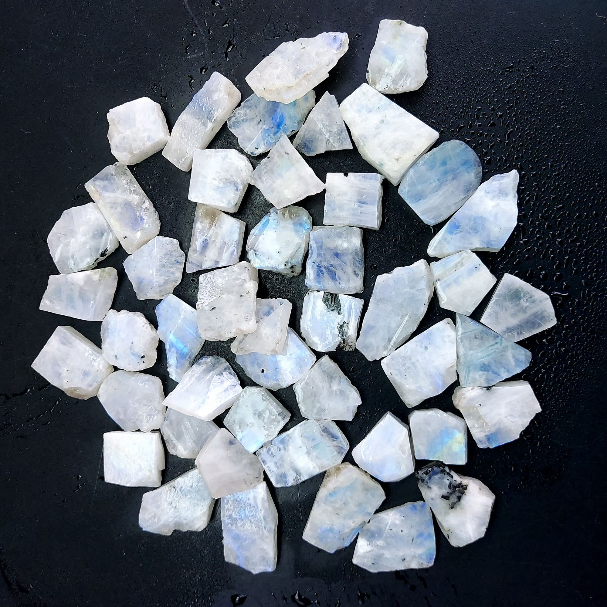 828 Cts Natural Blue Fire Rainbow Moonstone Rough Loose Gemstone Lot Size 14x17-17x25 mmR-12602