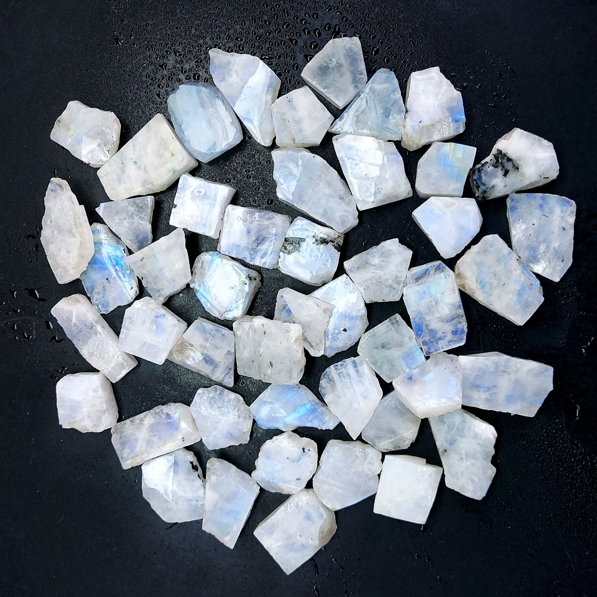 828 Cts Natural Blue Fire Rainbow Moonstone Rough Loose Gemstone Lot Size 14x17-17x25 mmR-12602