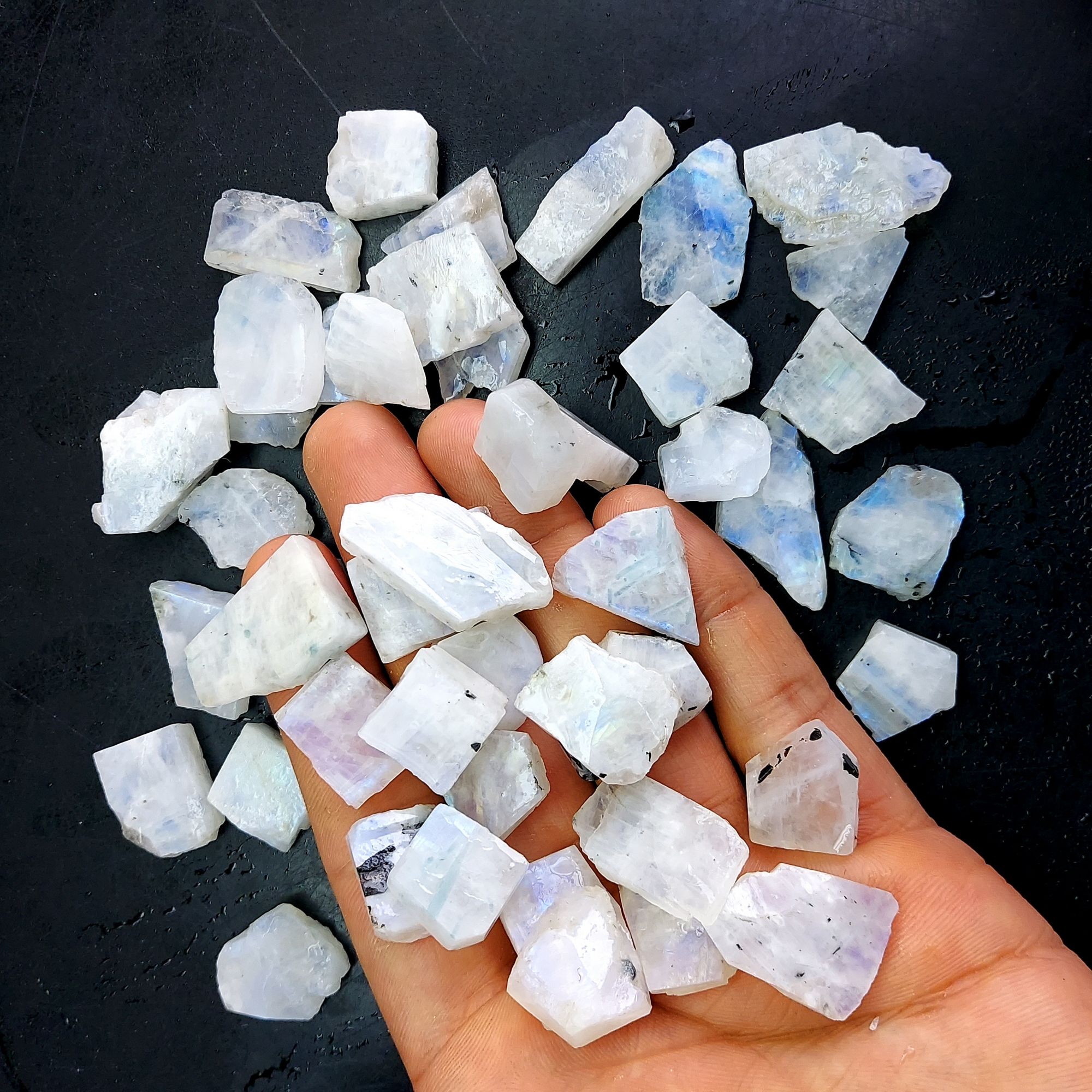 828 Cts Natural Blue Fire Rainbow Moonstone Rough Loose Gemstone Lot Size 14x17-17x25 mmR-12602