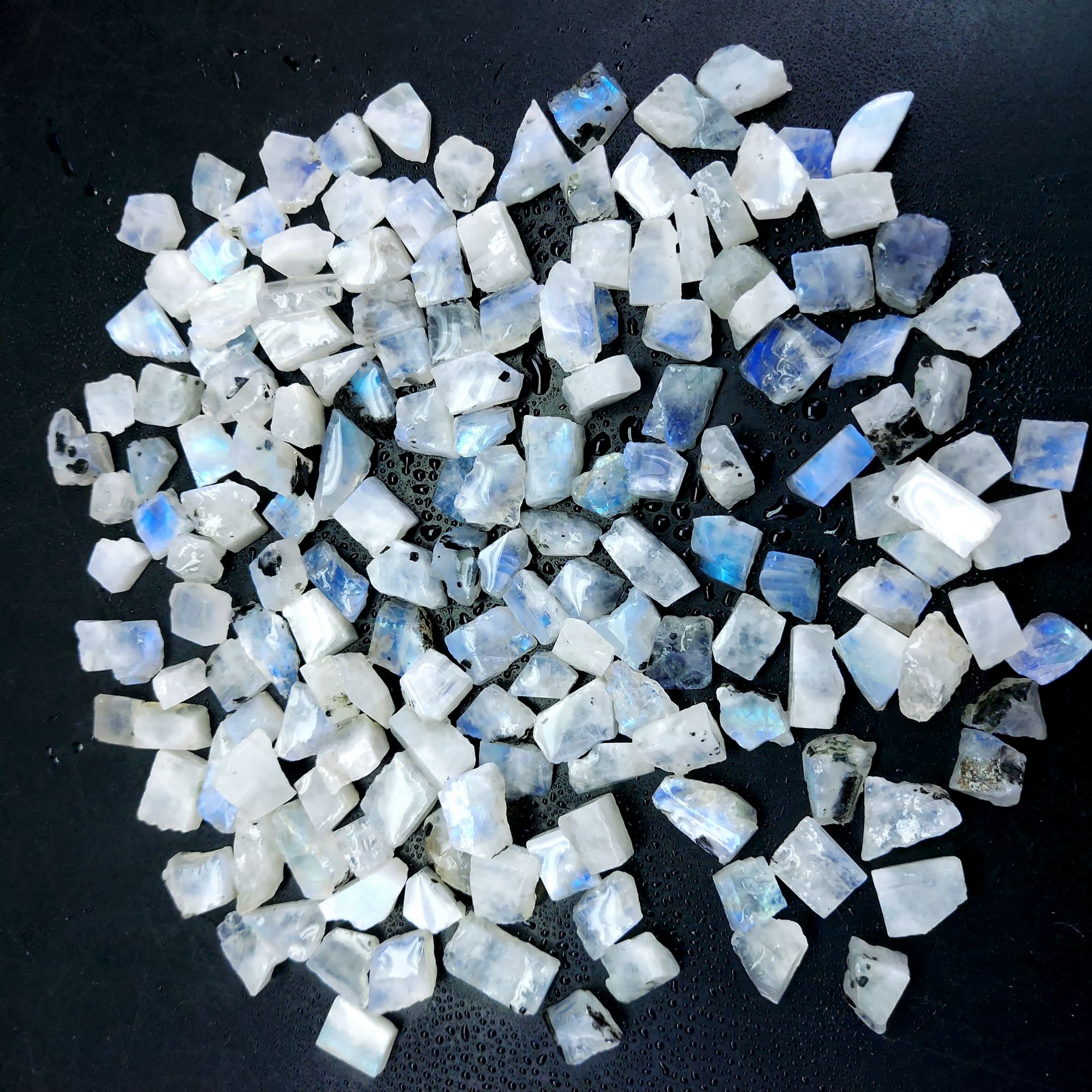 592 Cts Natural Blue Fire Rainbow Moonstone Rough Loose Gemstone Lot Size 7x8-8x18 mmR-12656