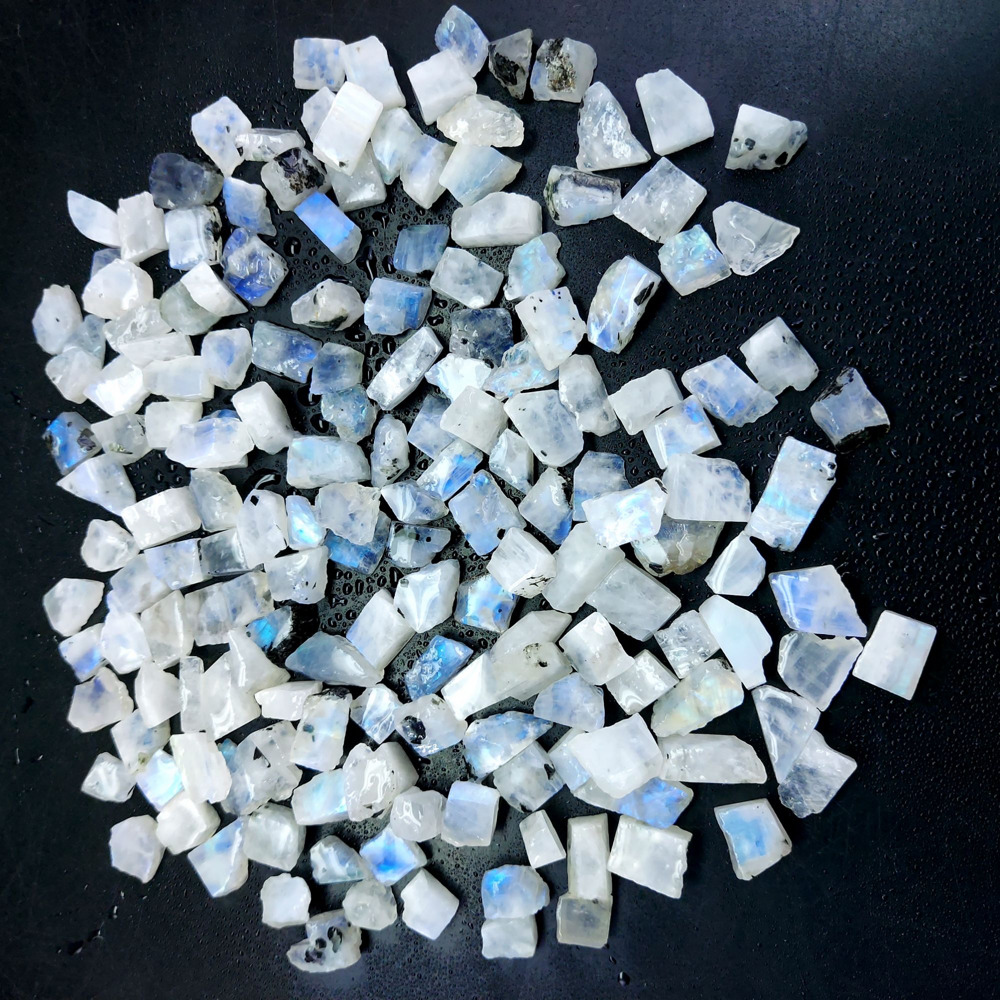 592 Cts Natural Blue Fire Rainbow Moonstone Rough Loose Gemstone Lot Size 7x8-8x18 mmR-12656