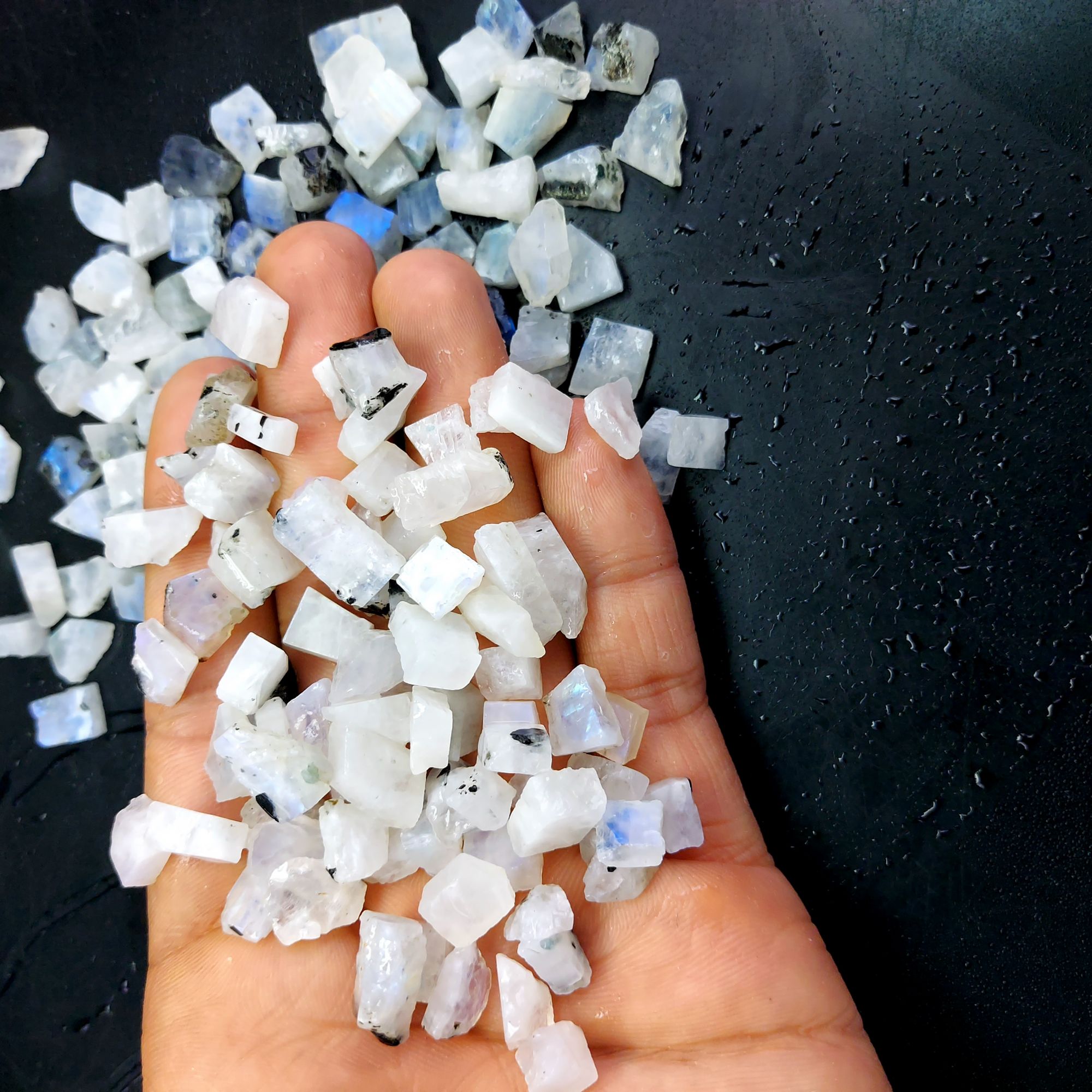 592 Cts Natural Blue Fire Rainbow Moonstone Rough Loose Gemstone Lot Size 7x8-8x18 mmR-12656