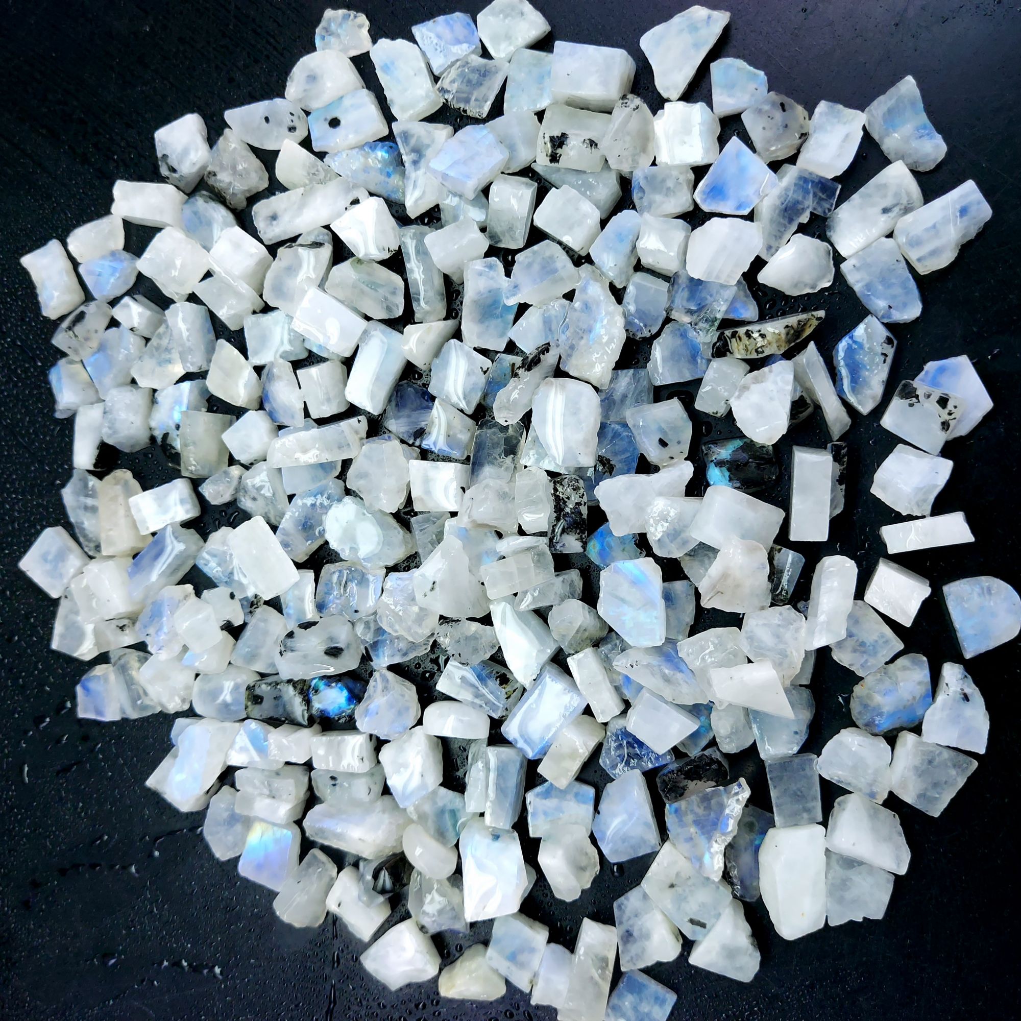 805 Cts Natural Blue Fire Rainbow Moonstone Rough Loose Gemstone Lot Size 7x8-8x18 mmR-12657