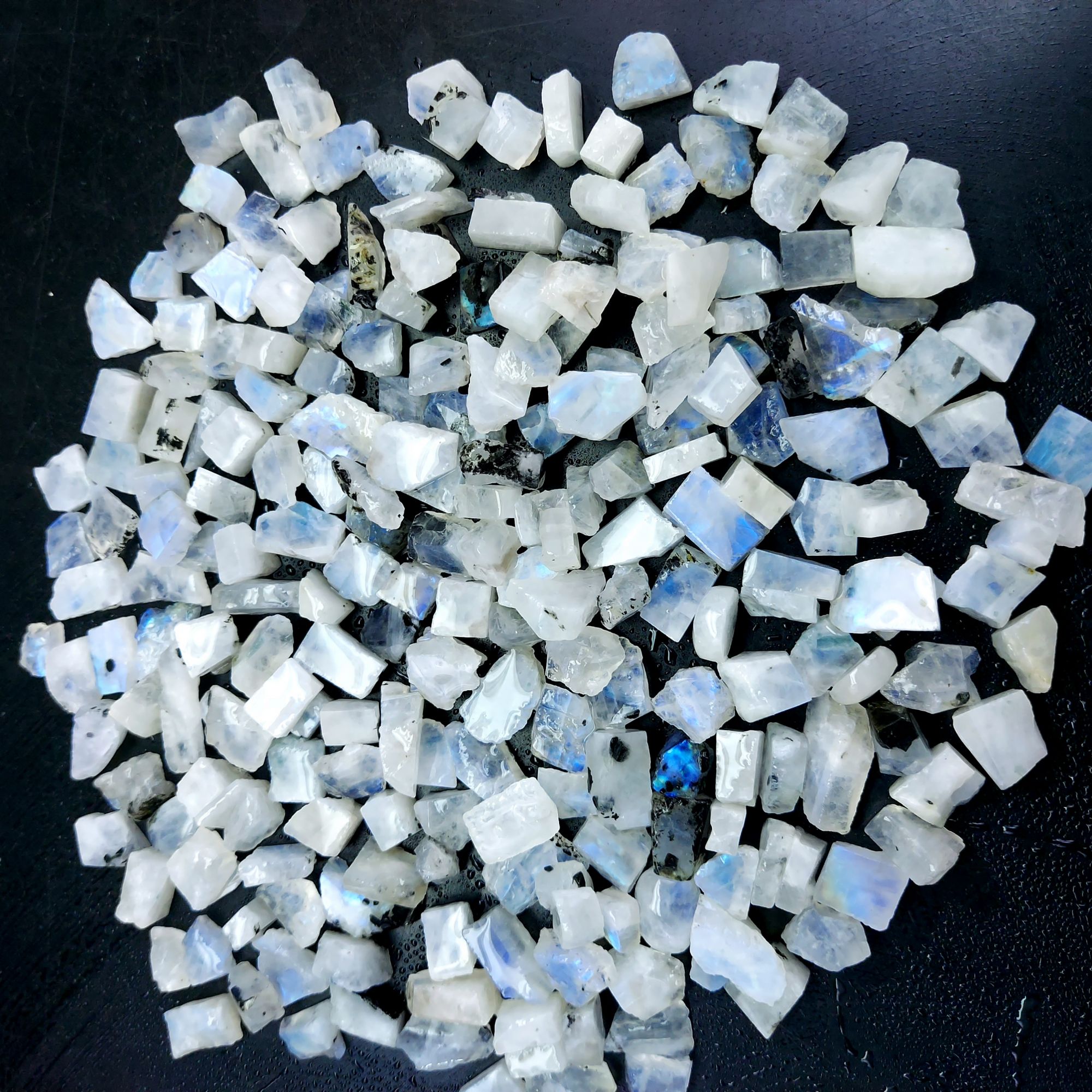 805 Cts Natural Blue Fire Rainbow Moonstone Rough Loose Gemstone Lot Size 7x8-8x18 mmR-12657