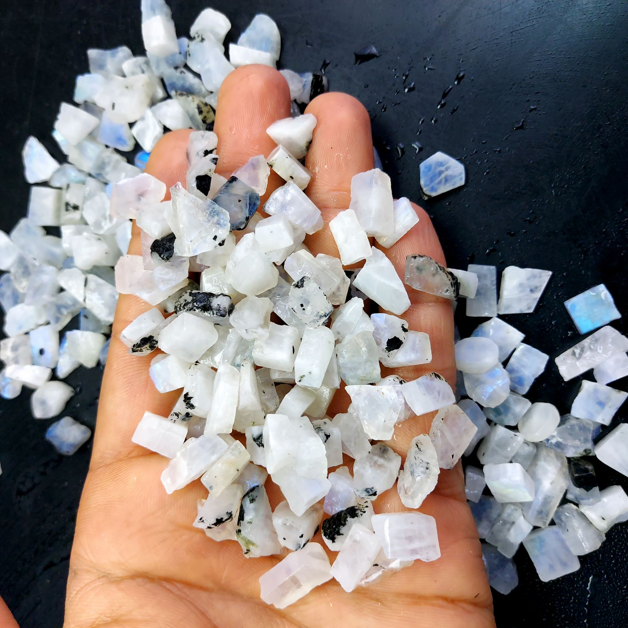805 Cts Natural Blue Fire Rainbow Moonstone Rough Loose Gemstone Lot Size 7x8-8x18 mmR-12657