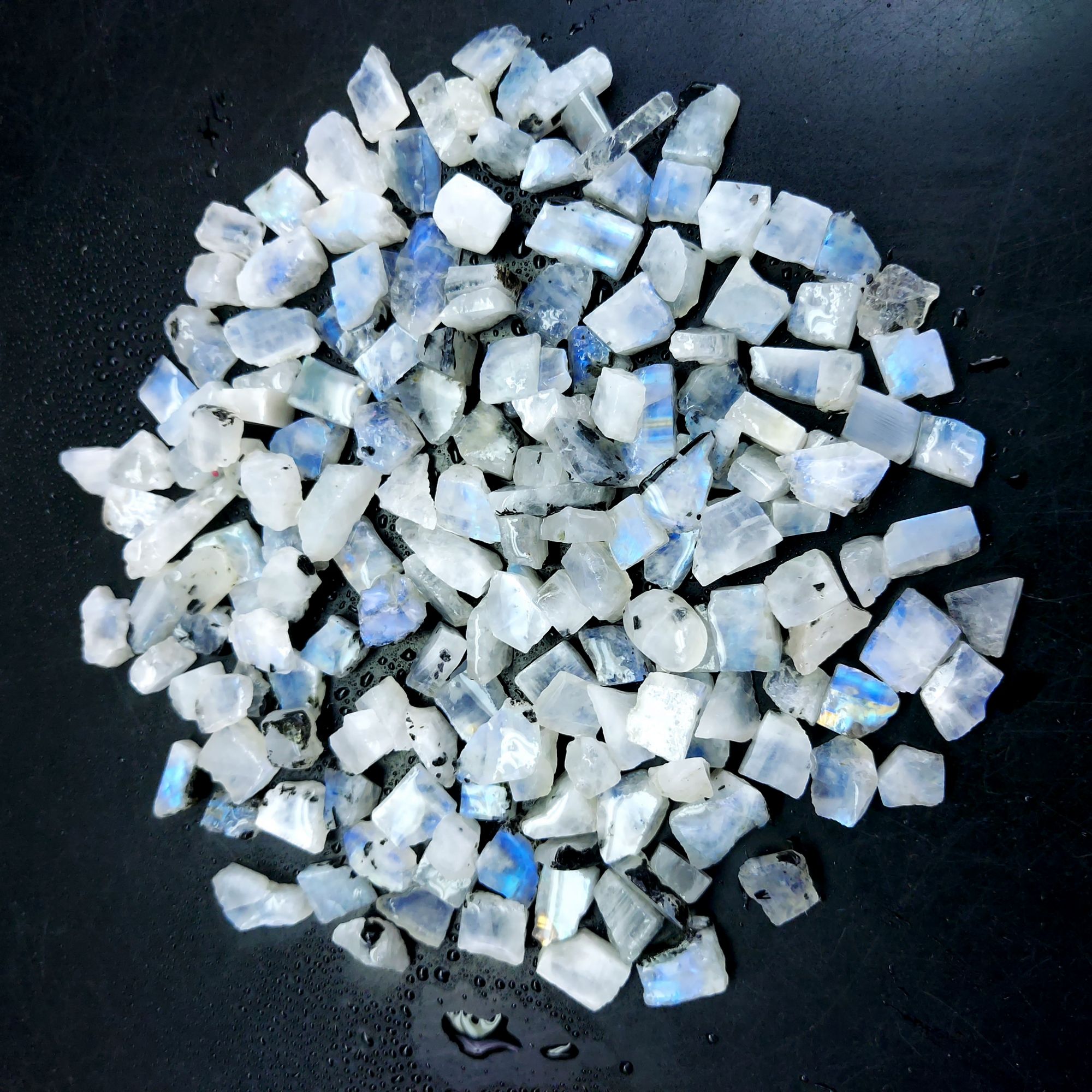 595 Cts Natural Blue Fire Rainbow Moonstone Rough Loose Gemstone Lot Size 7x8-8x18 mmR-12660