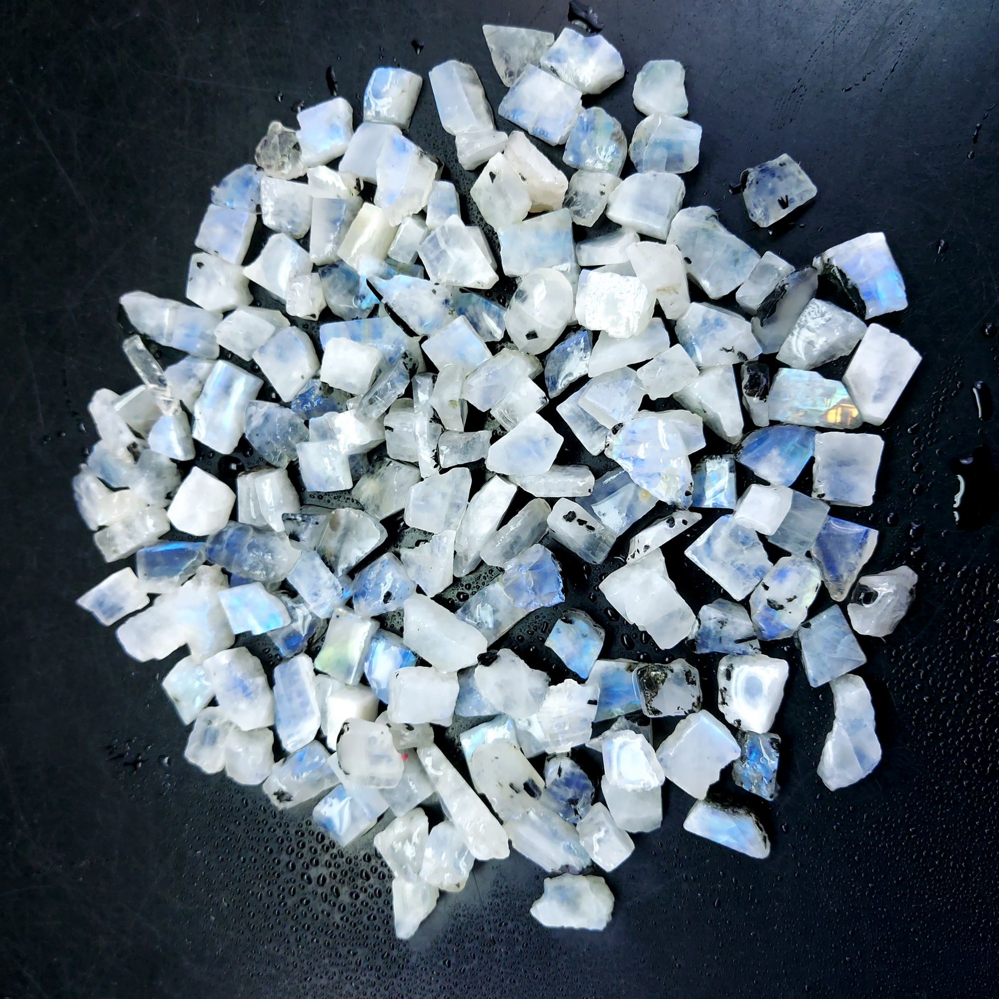 595 Cts Natural Blue Fire Rainbow Moonstone Rough Loose Gemstone Lot Size 7x8-8x18 mmR-12660