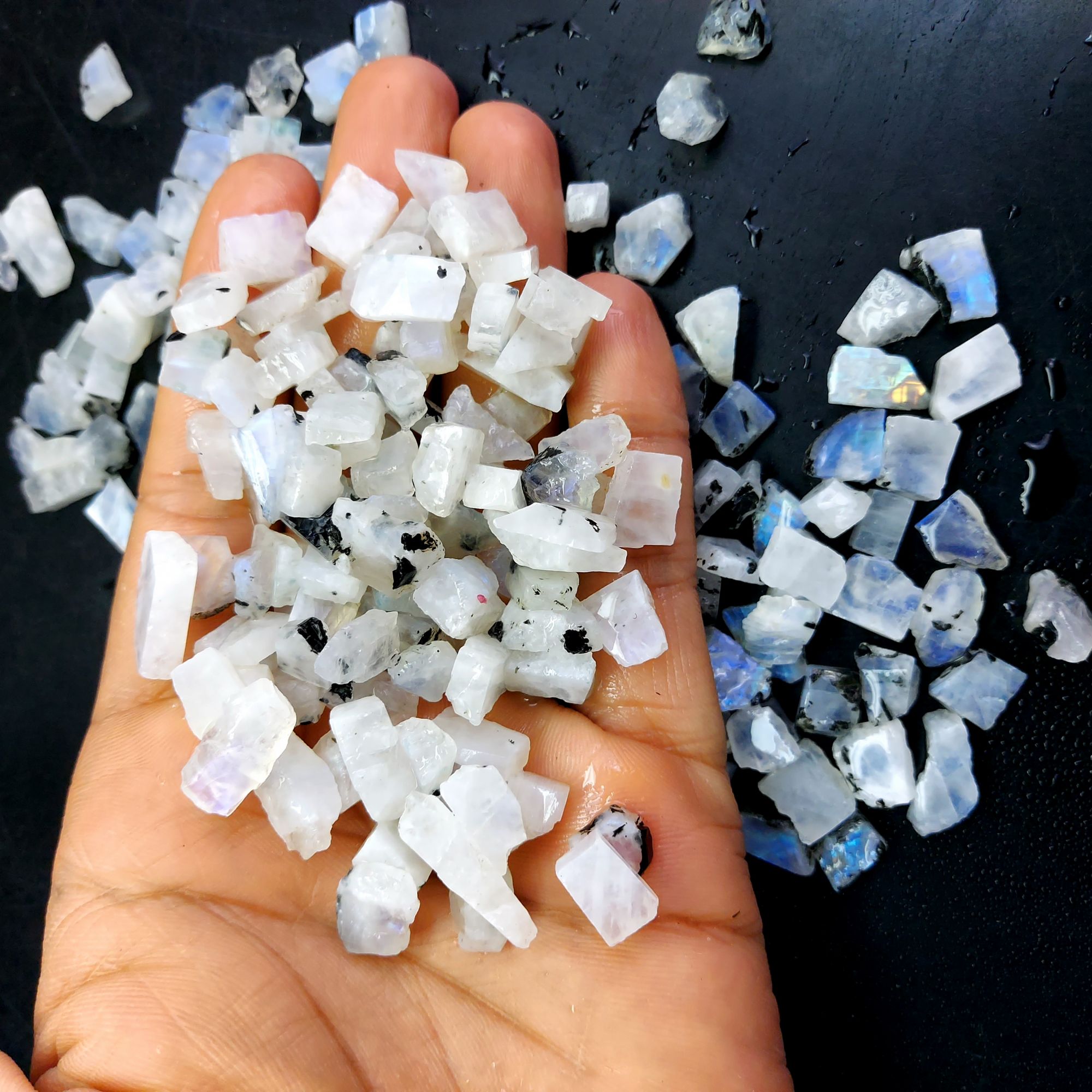 595 Cts Natural Blue Fire Rainbow Moonstone Rough Loose Gemstone Lot Size 7x8-8x18 mmR-12660