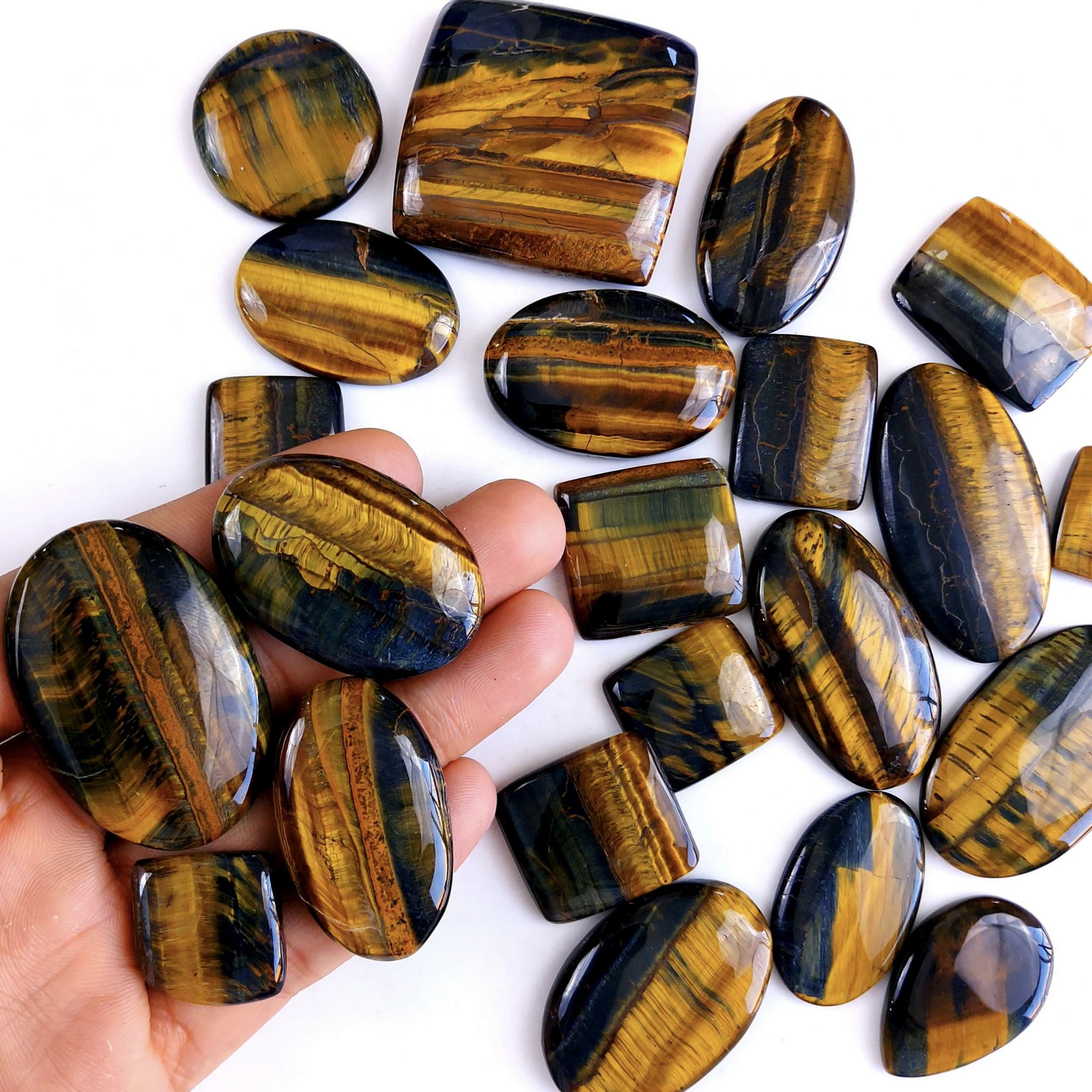 22Pcs 1217Cts Natural Tiger Eye Loose Cabochon Gemstone Lot Mix Shape and and Size for Jewelry Making 48x32 30x30mm#1301