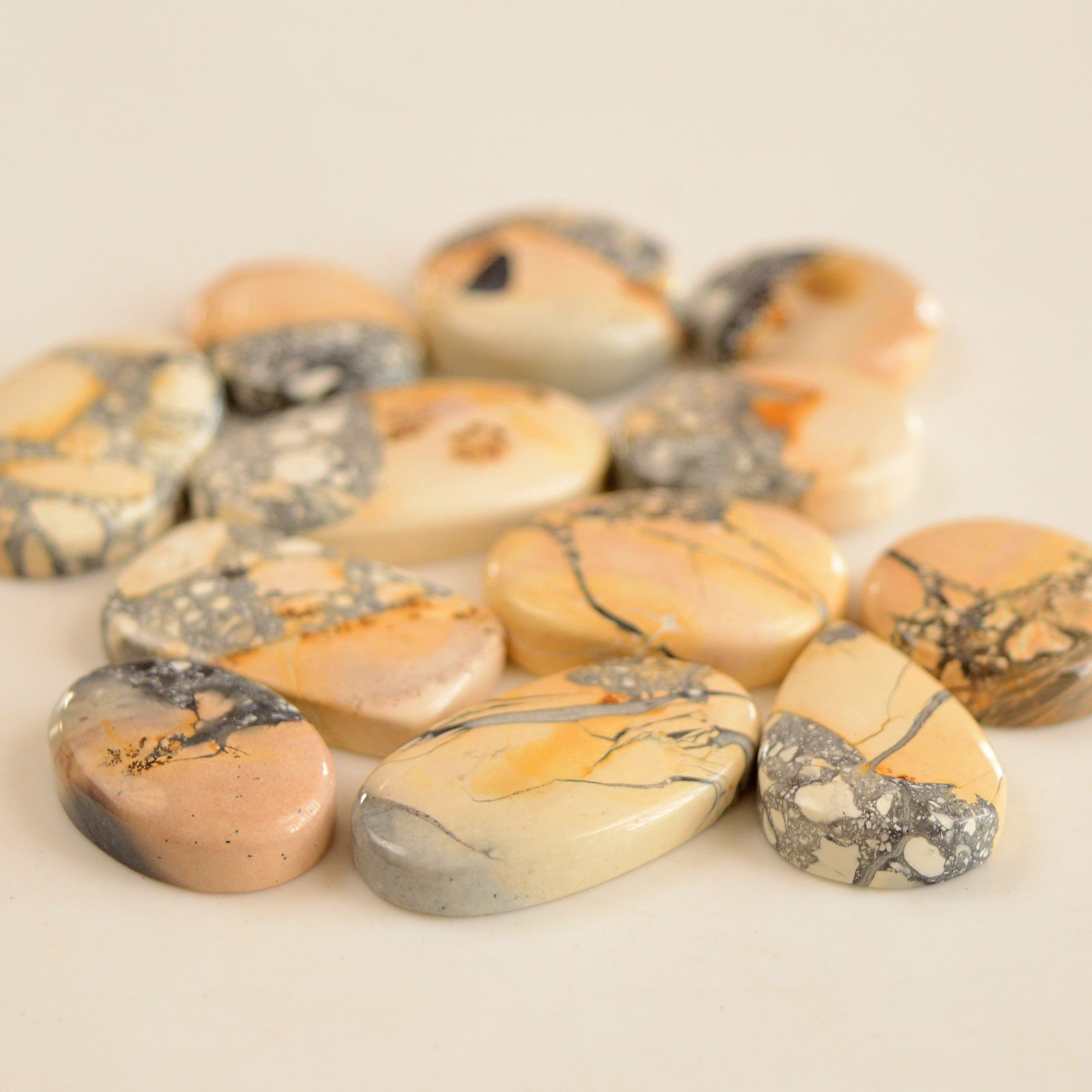 12 Pcs 319 Cts Natural Maligano Jasper Cabochon Lot Semi-Precious Gemstones For Jewelry Making 20x20-32x17mm 13347