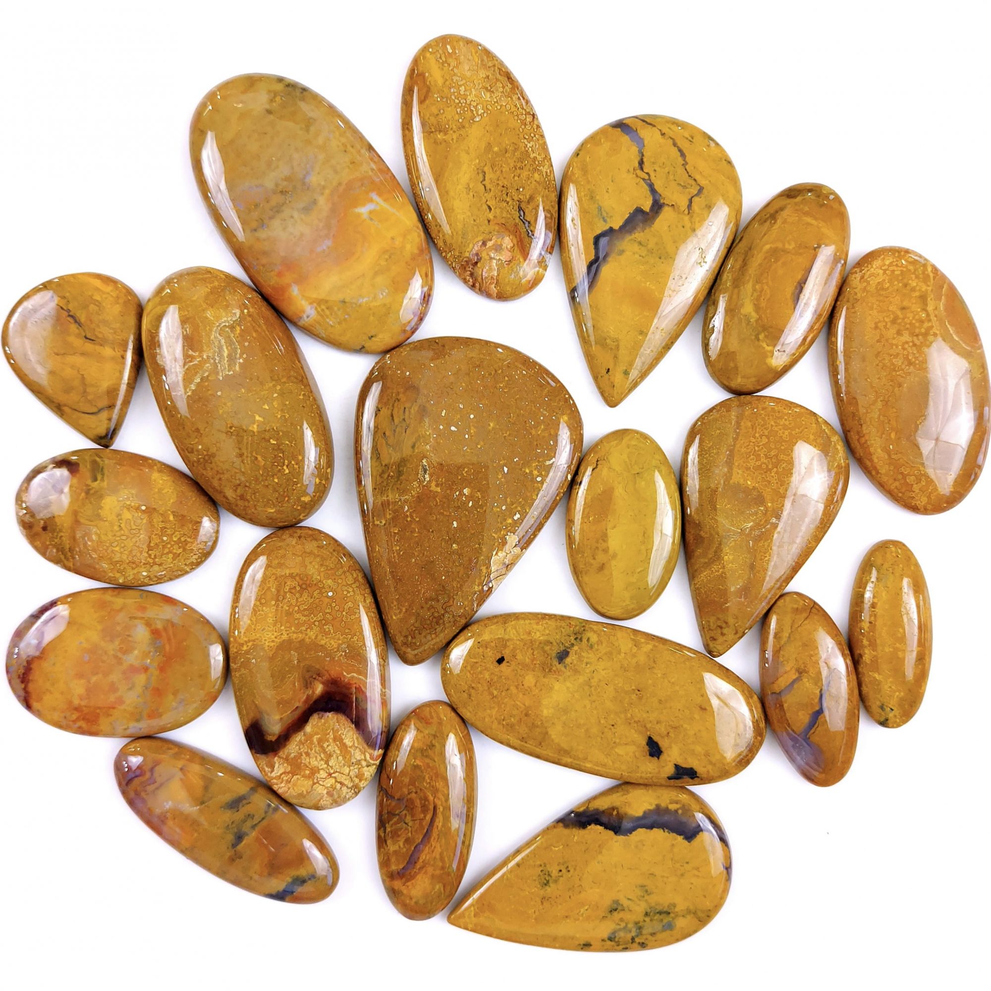 19Pcs 897Cts Natural Yellow Jasper Loose Cabochon Gemstone Lot  for Jewelry Making 54x23 30x14mm#1385