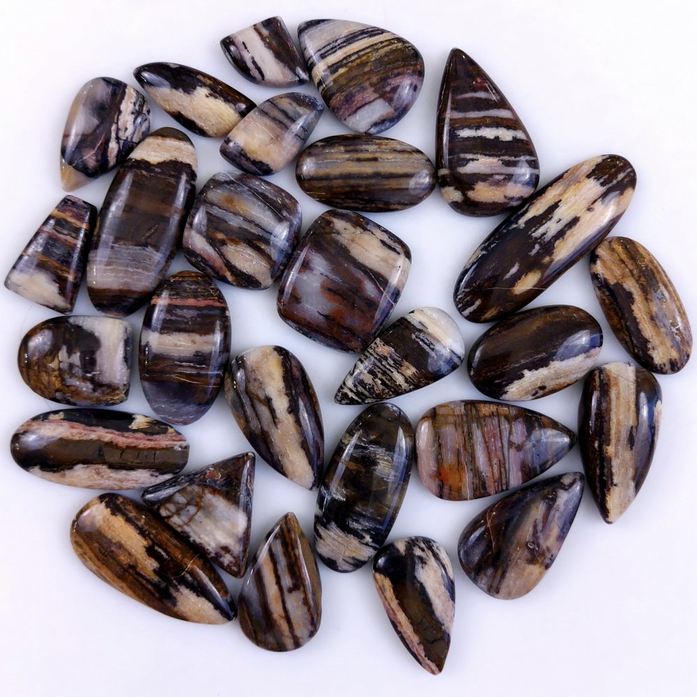 27Pcs 672Cts Natural Brown Banded Jasper Loose Cabochon Gemstone Lot  for Jewelry Making 38x14 18x14mm#1402