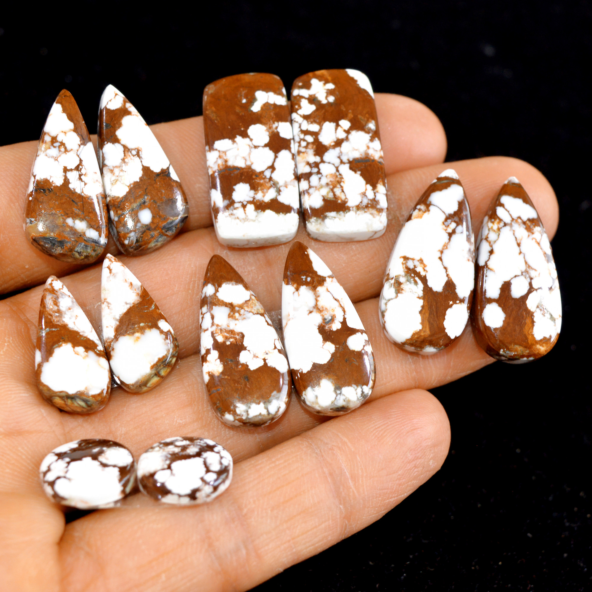 6 Pairs 160 Cts Natural Wild Horse Cabochon Loose Gemstone Wholesale Lot for Jewelry Making 27x13-12x12mm 14960