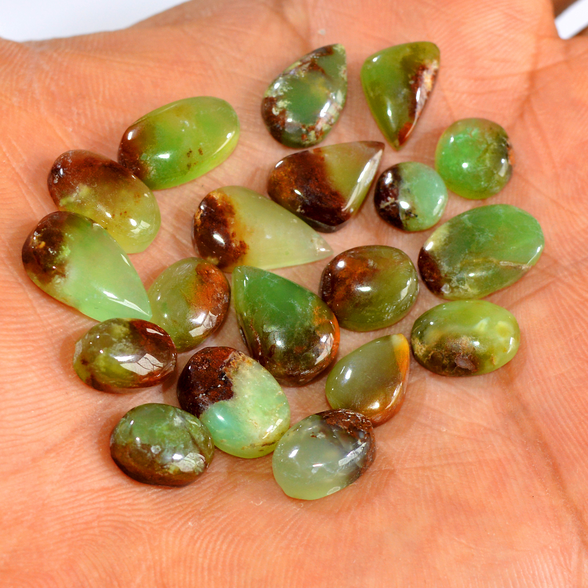 19Pcs 67Cts Natural Chrysoprase Cabochon Loose Gemstone Lot Semi-Precious Green Gemstone For Silver Jewelry Making 20x8 6x6mm 15909