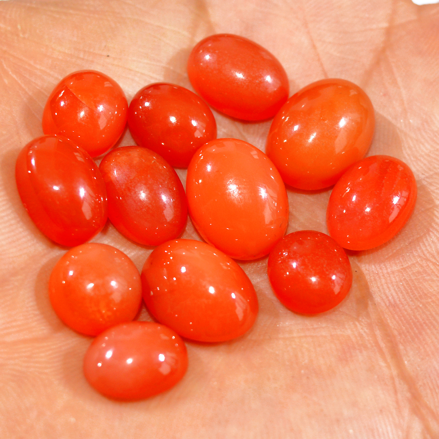 12Pcs 91Ct Natural Carnelian Cabochon Lot Orange Crystal Loose Gemstones Carnelian Healing Crystal For Jewelry Making 15x10 10x10mm 16090