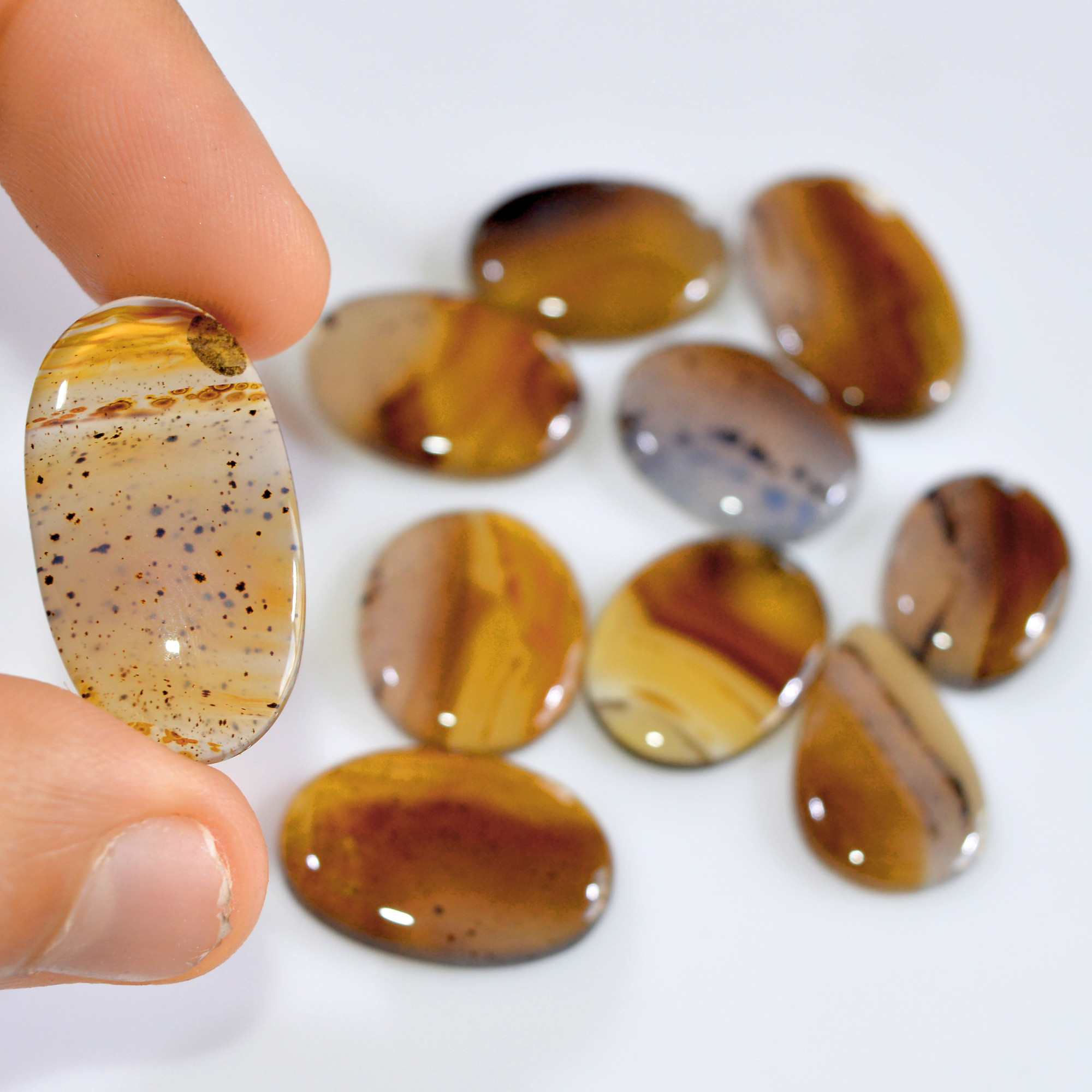 10 Pcs 160 Cts Natural Montana Agate Cabochon Loose Gemstone Loose Jewelry Making Lot Semi-Precious Gemstones 30x15 20x14mm 16234