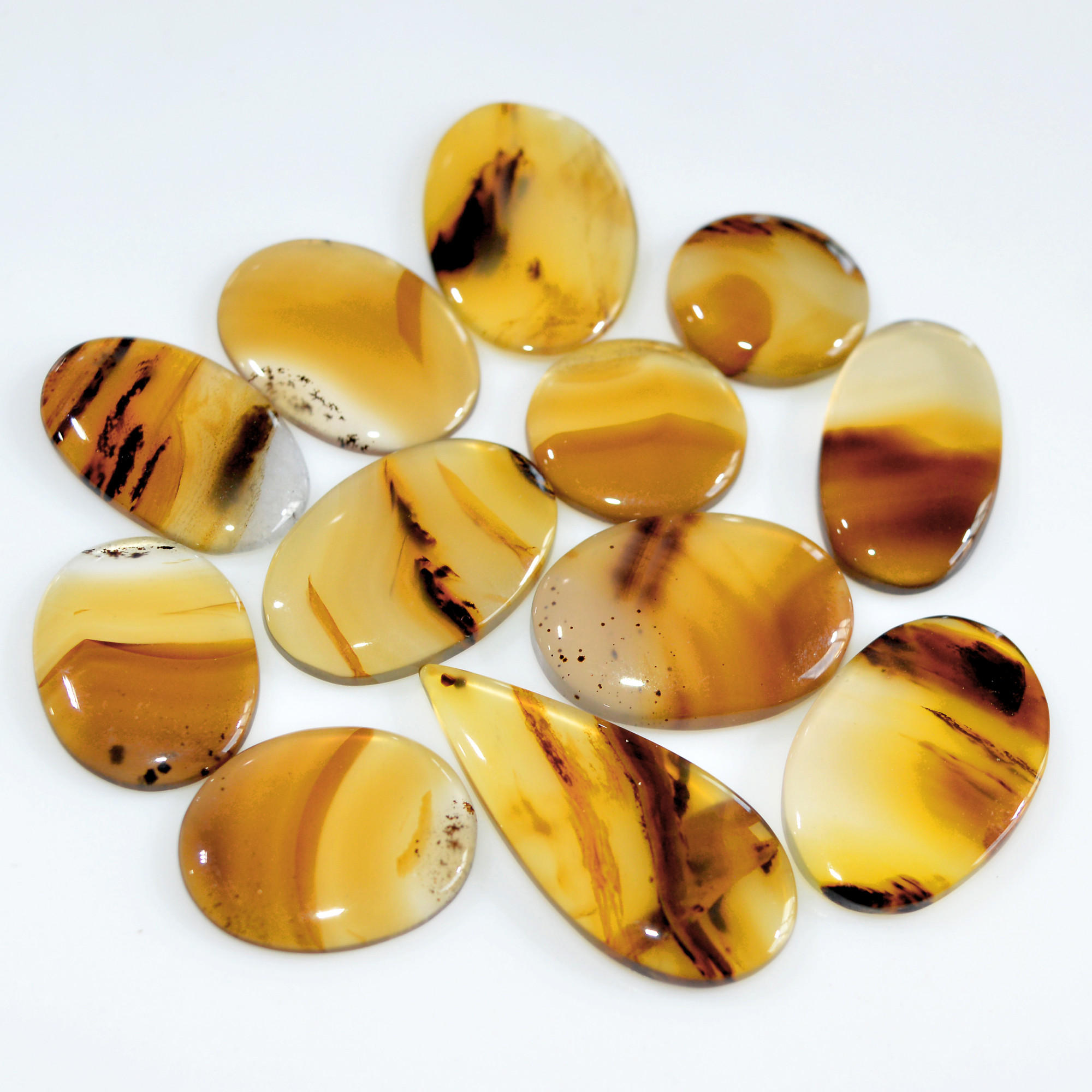 12 Pcs 148 Cts Natural Montana Agate Cabochon Loose Lot Gemstone Mix Shape and Size Loose Wholesale Gemstone Lot 32x14 15x15mm 16261