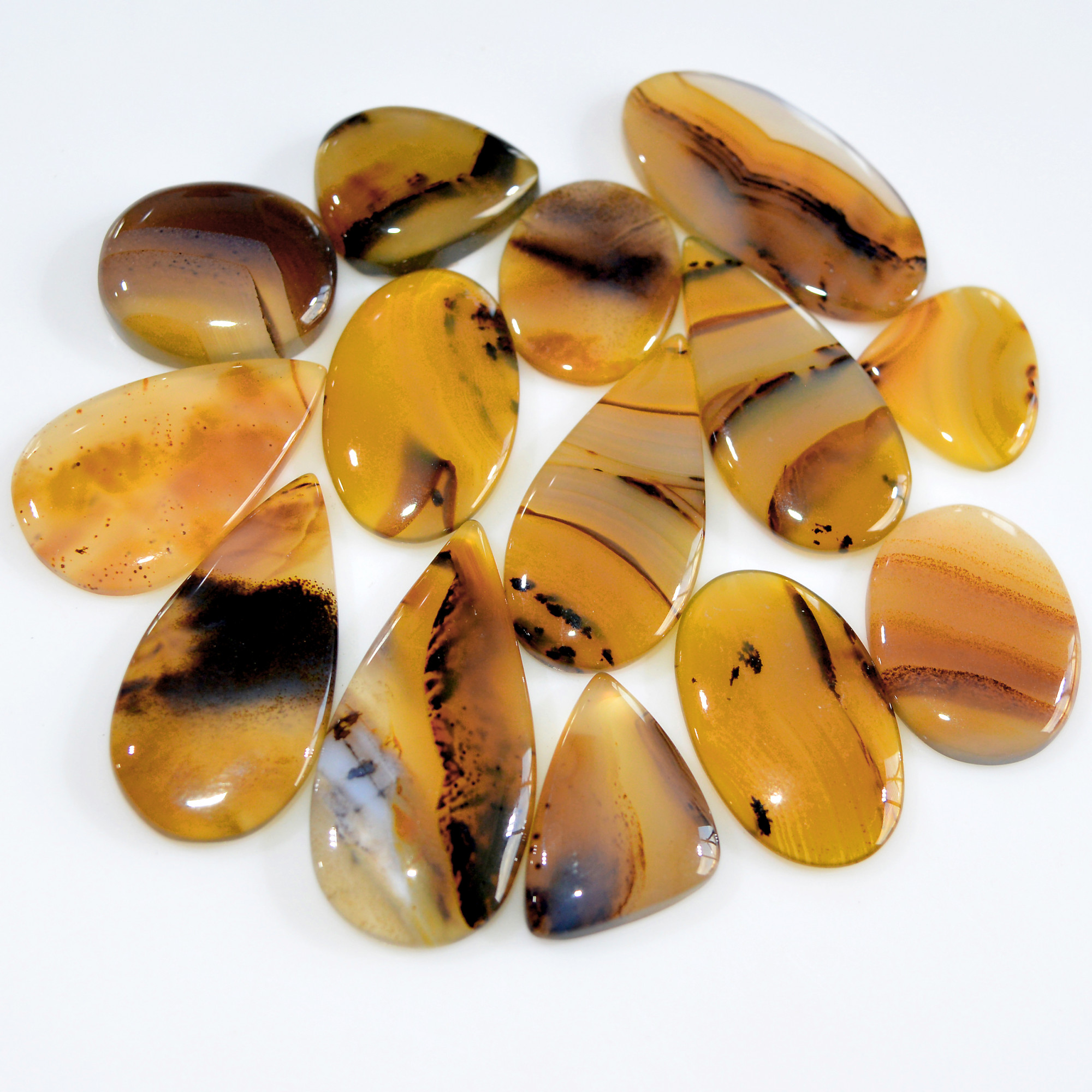 14 Pcs 208 Cts Natural Montana Agate Cabochon Loose Gemstone Lot Wire Wrap Jewelry Making Crystal Healing Stone 35x15 17x15mm 16313