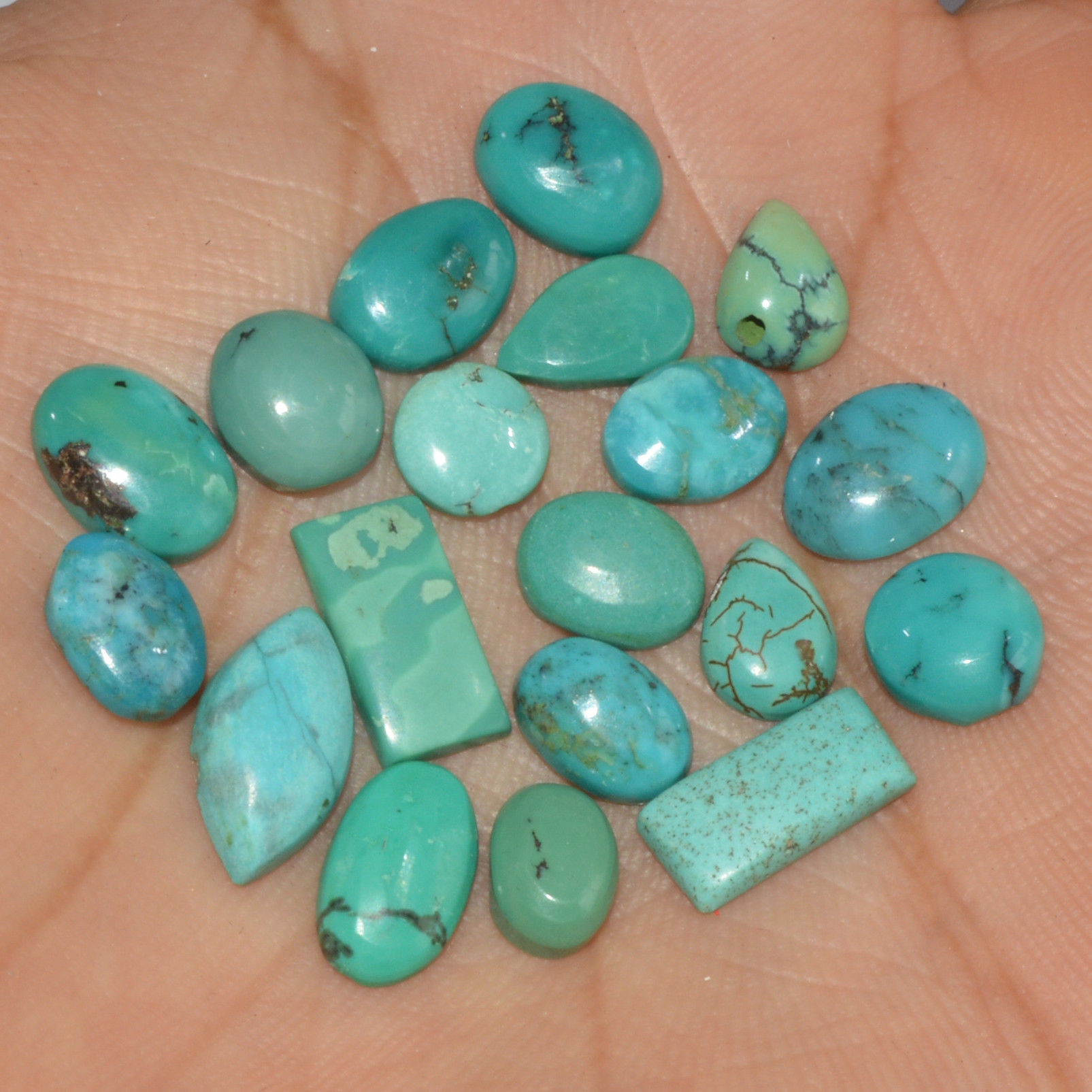 19 Pcs 24Cts Natural Tibetan Turquoise Cabochon Loose Gemstone 10x5 5x5mm 16335