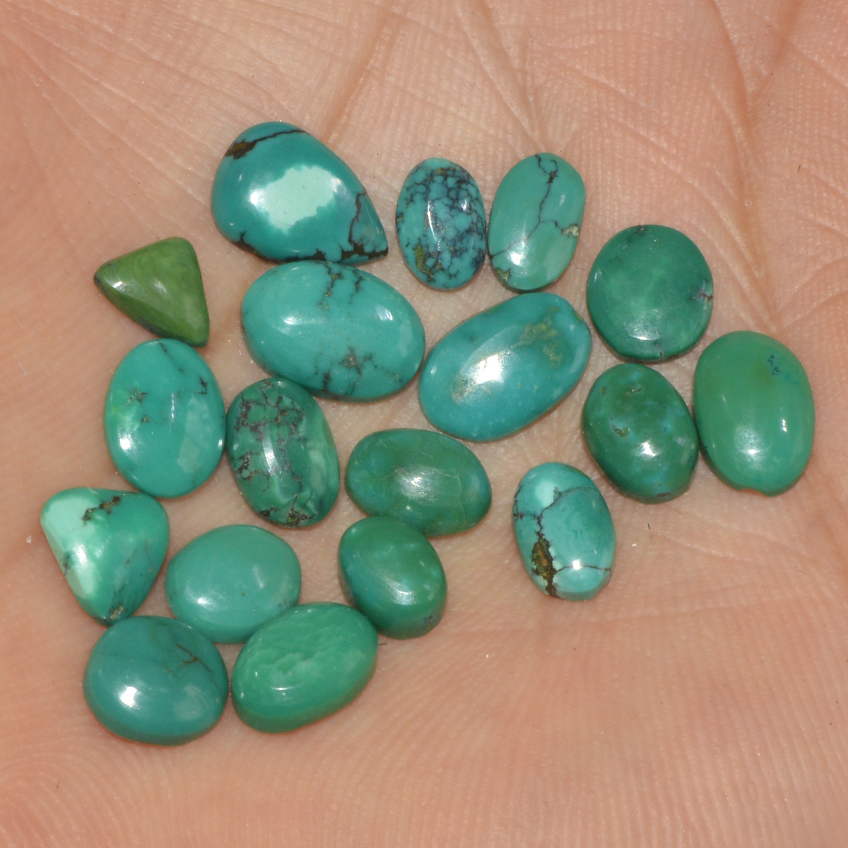 18 Pcs 20Cts Natural Tibetan Turquoise Cabochon Loose Gemstone 10x6 5x5mm 16336