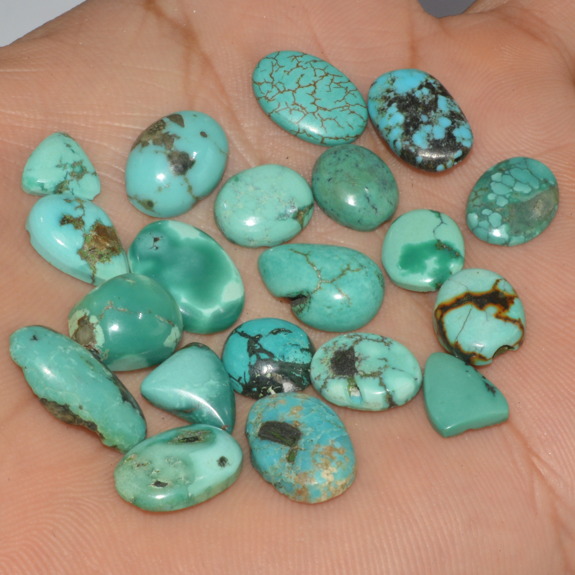 20 Pcs 58Cts Natural Tibetan Turquoise Cabochon Loose Gemstone 15x6 6x6mm 16338