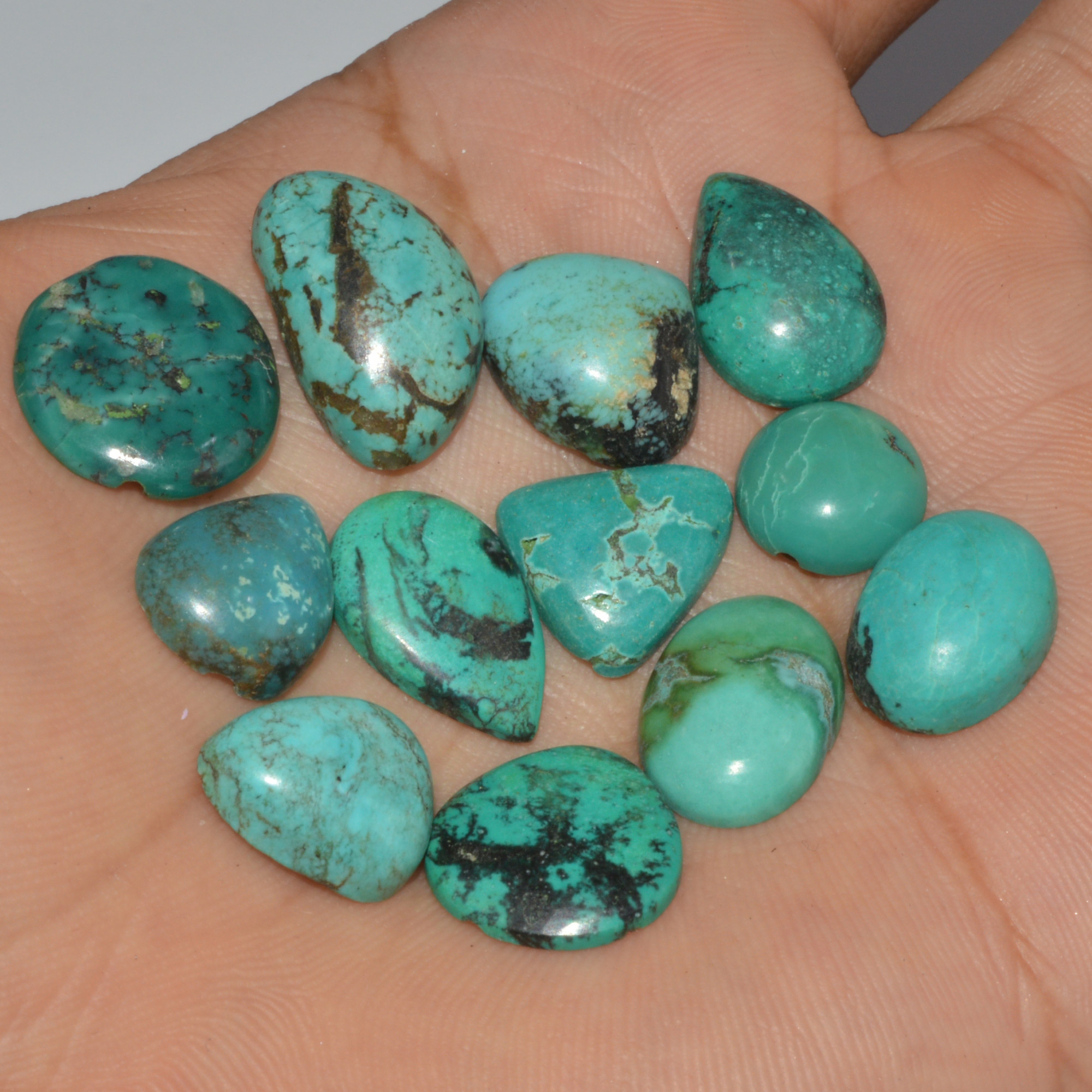 12Pc 78Ct Natural Tibetan Turquoise Cabochon Loose Gemstone 20x10 10x10mm 16339