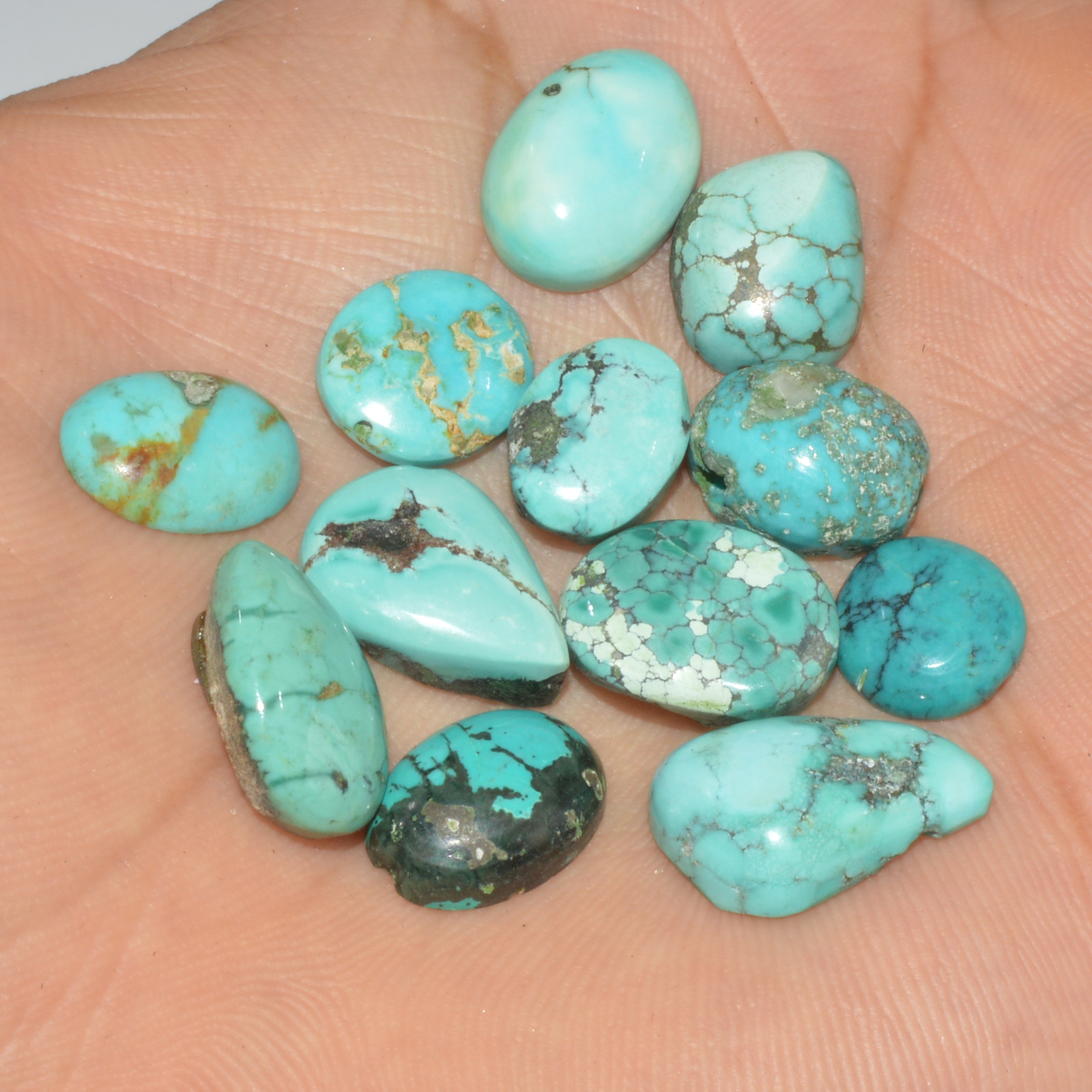 12Pcs 68Cts Natural Tibetan Turquoise Cabochon Loose Gemstone 17x10 9x9mm 16341