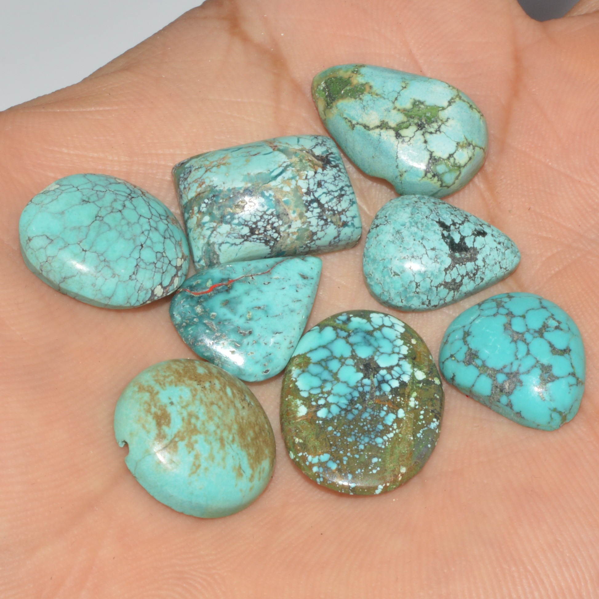 8Pcs 65Ct Natural Tibetan Turquoise Cabochon Loose Gemstone 20x14 14x10mm 16342