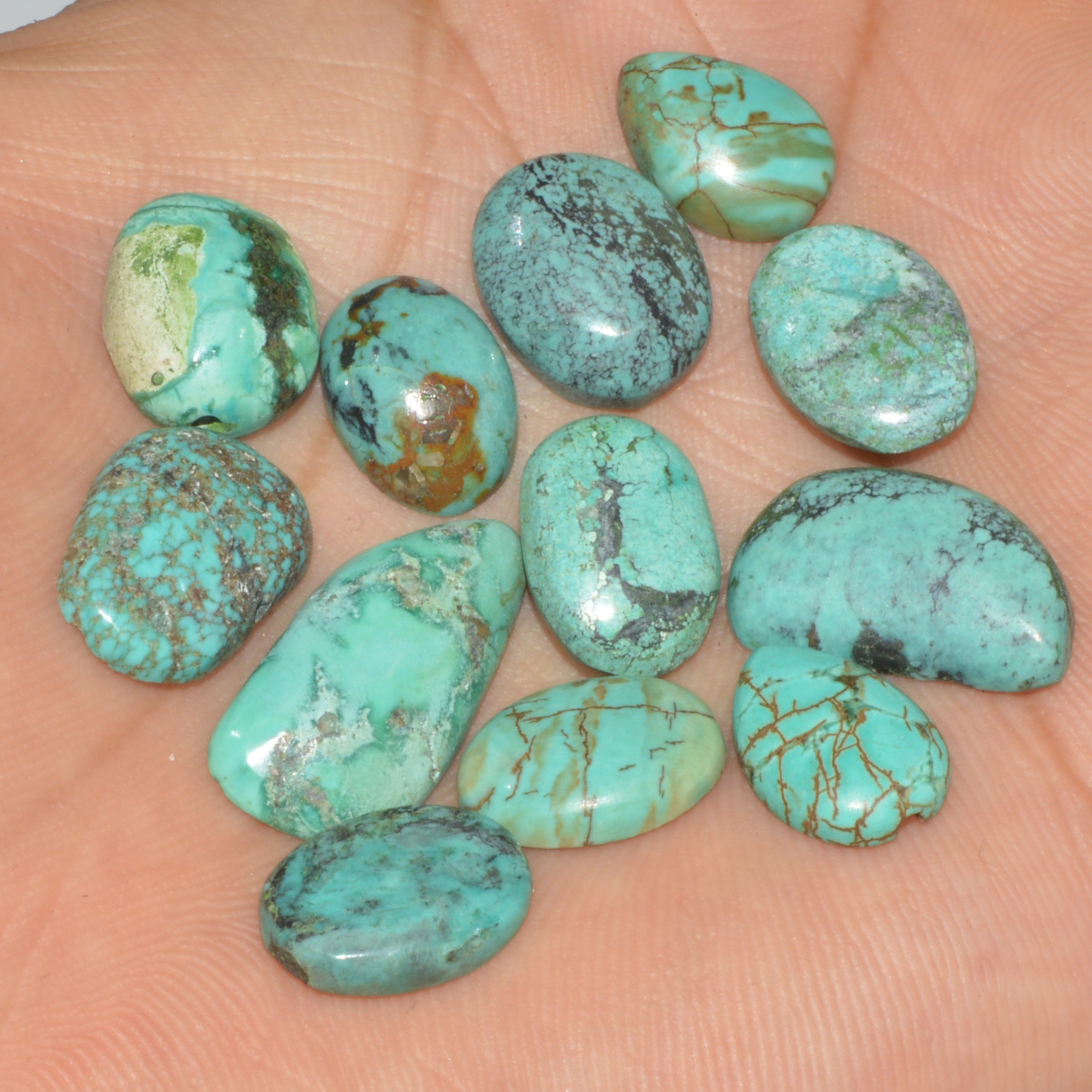 12Pcs 58Ct Natural Tibetan Turquoise Cabochon Loose Gemstone 21x10 13x9mm 16343