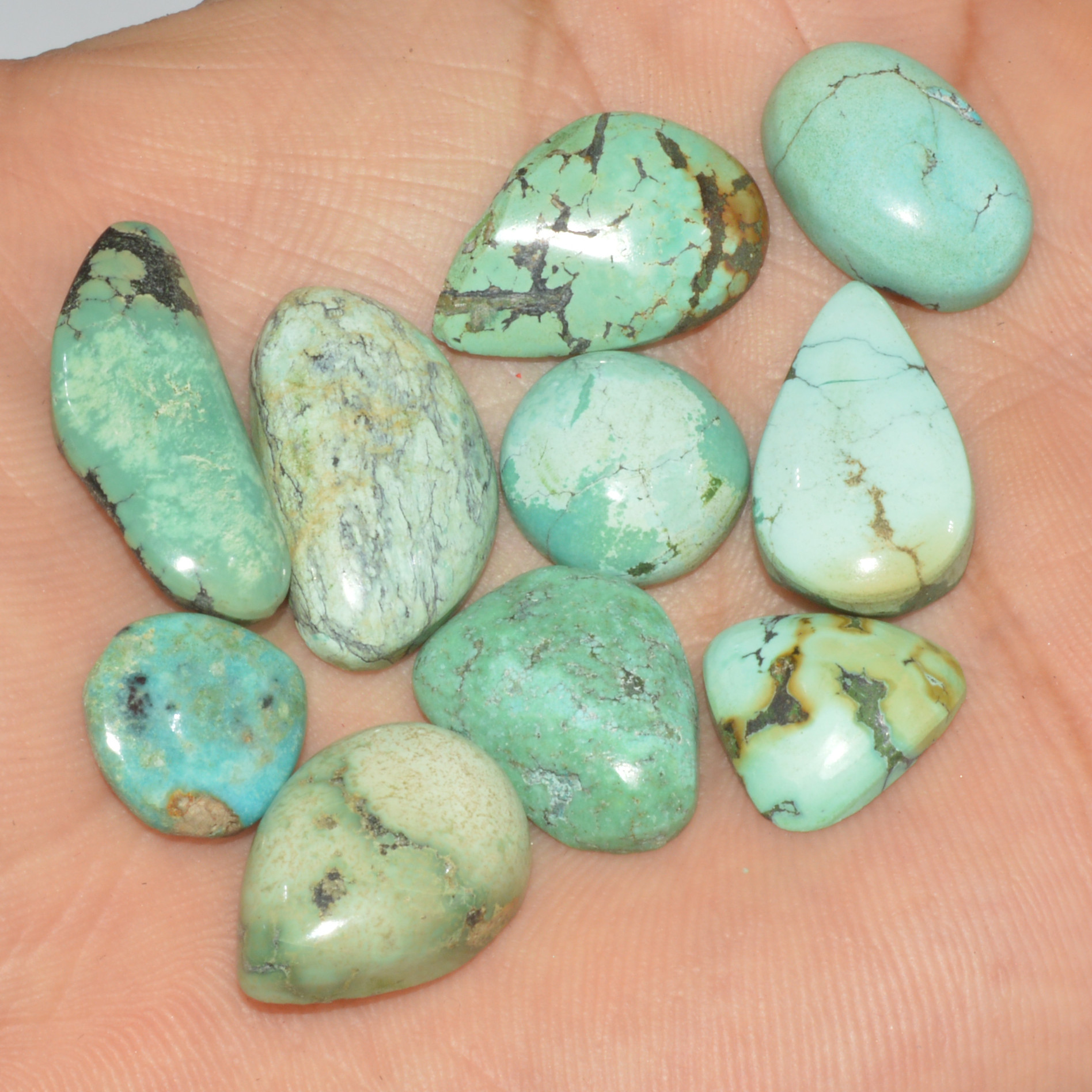 10Pc 85Ct Natural Tibetan Turquoise Cabochon Loose Gemstone 25x10 13x10mm 16344