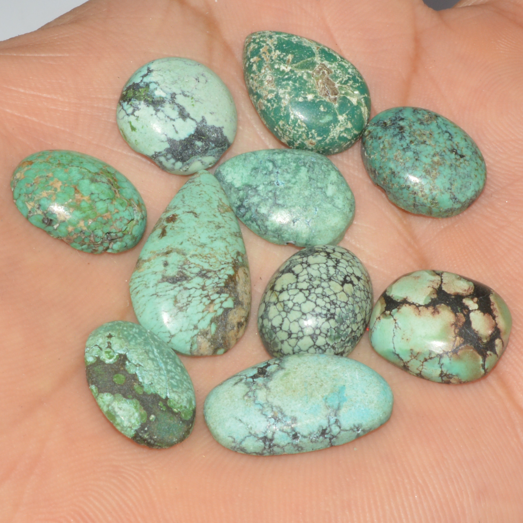 10Pc 64Ct Natural Tibetan Turquoise Cabochon Loose Gemstone 23x13 12x12mm 16349
