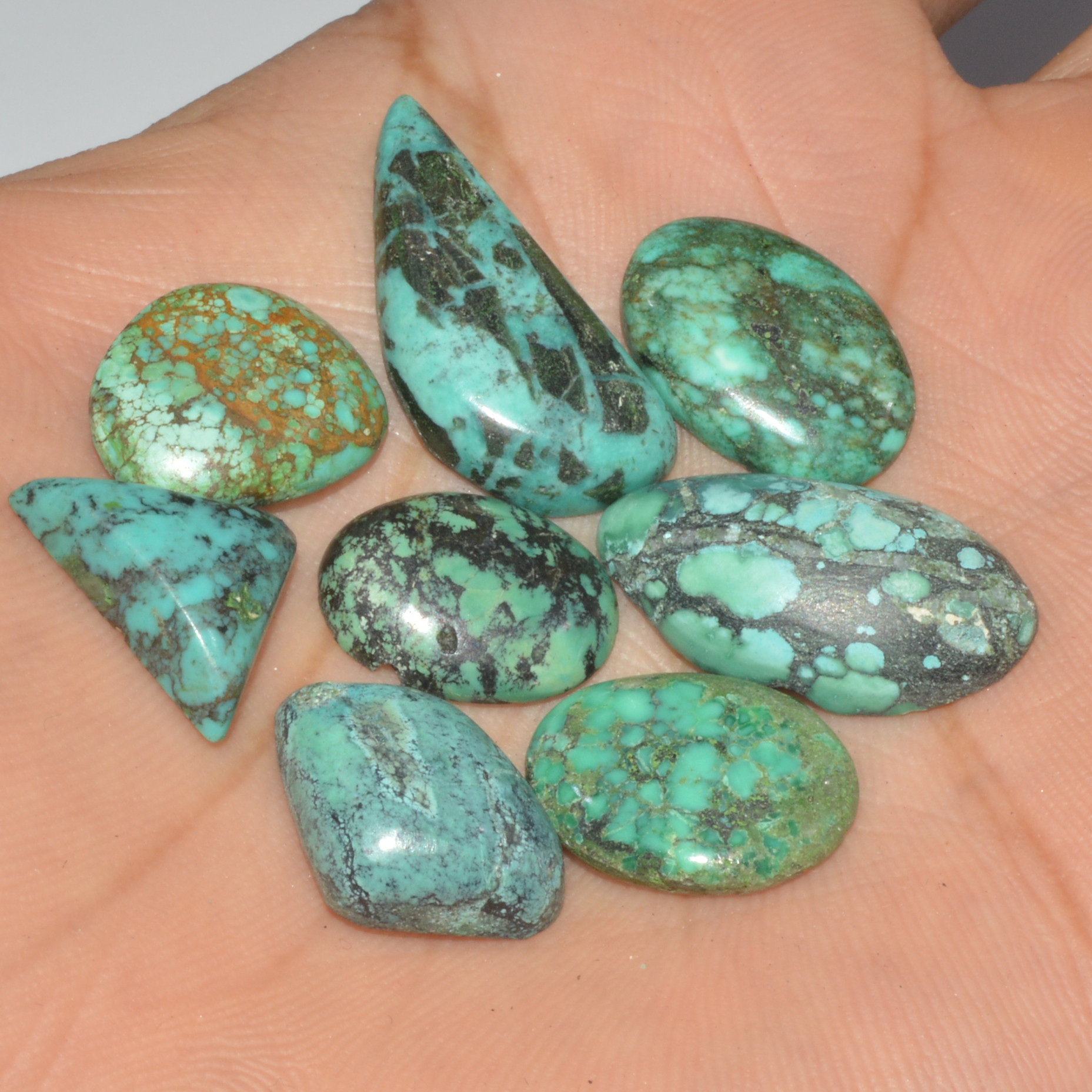 8Pcs 55Ct Natural Tibetan Turquoise Cabochon Loose Gemstone 24x10 15x13mm 16357