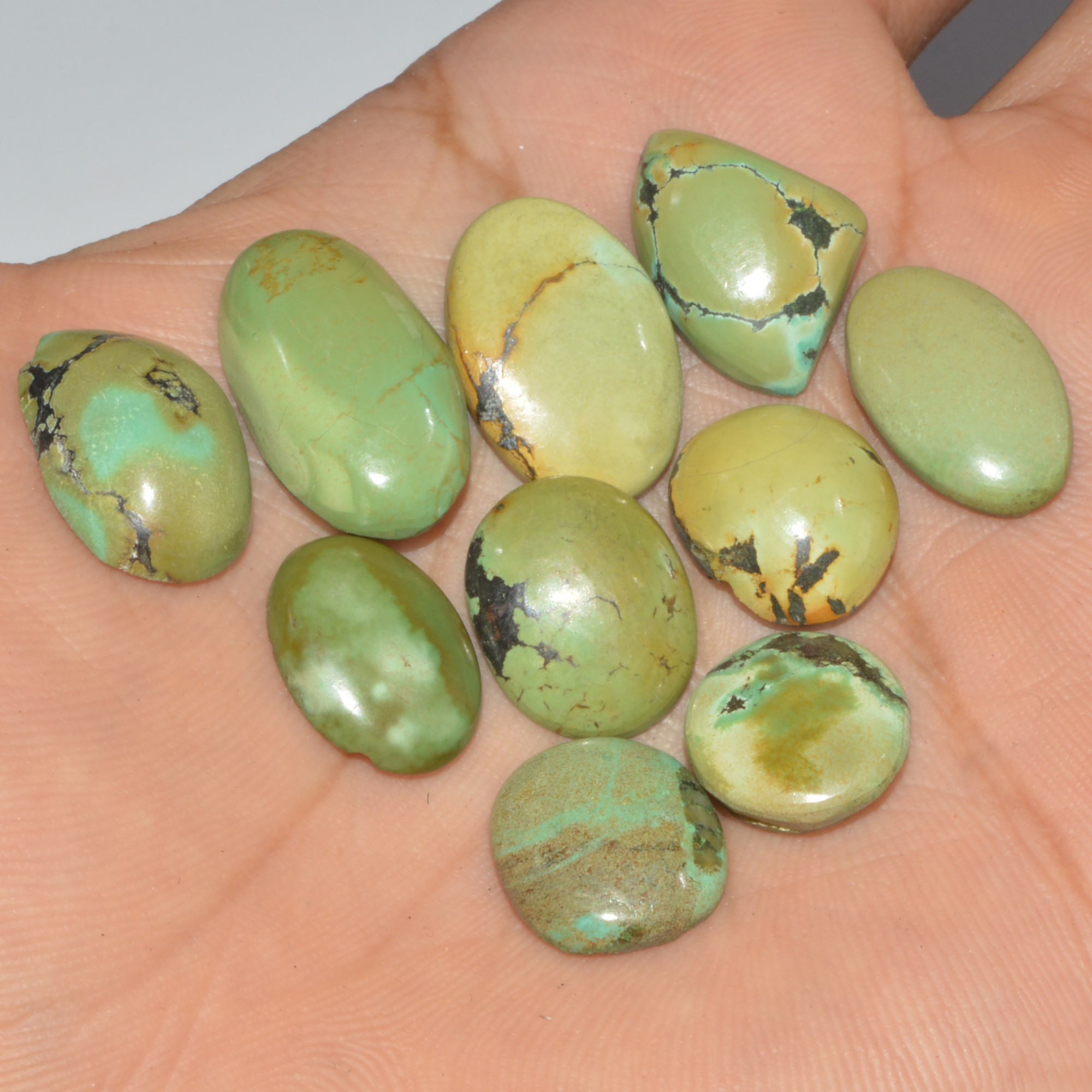 10Pc 78Ct Natural Tibetan Turquoise Cabochon Loose Gemstone 21x11 12x12mm 16360